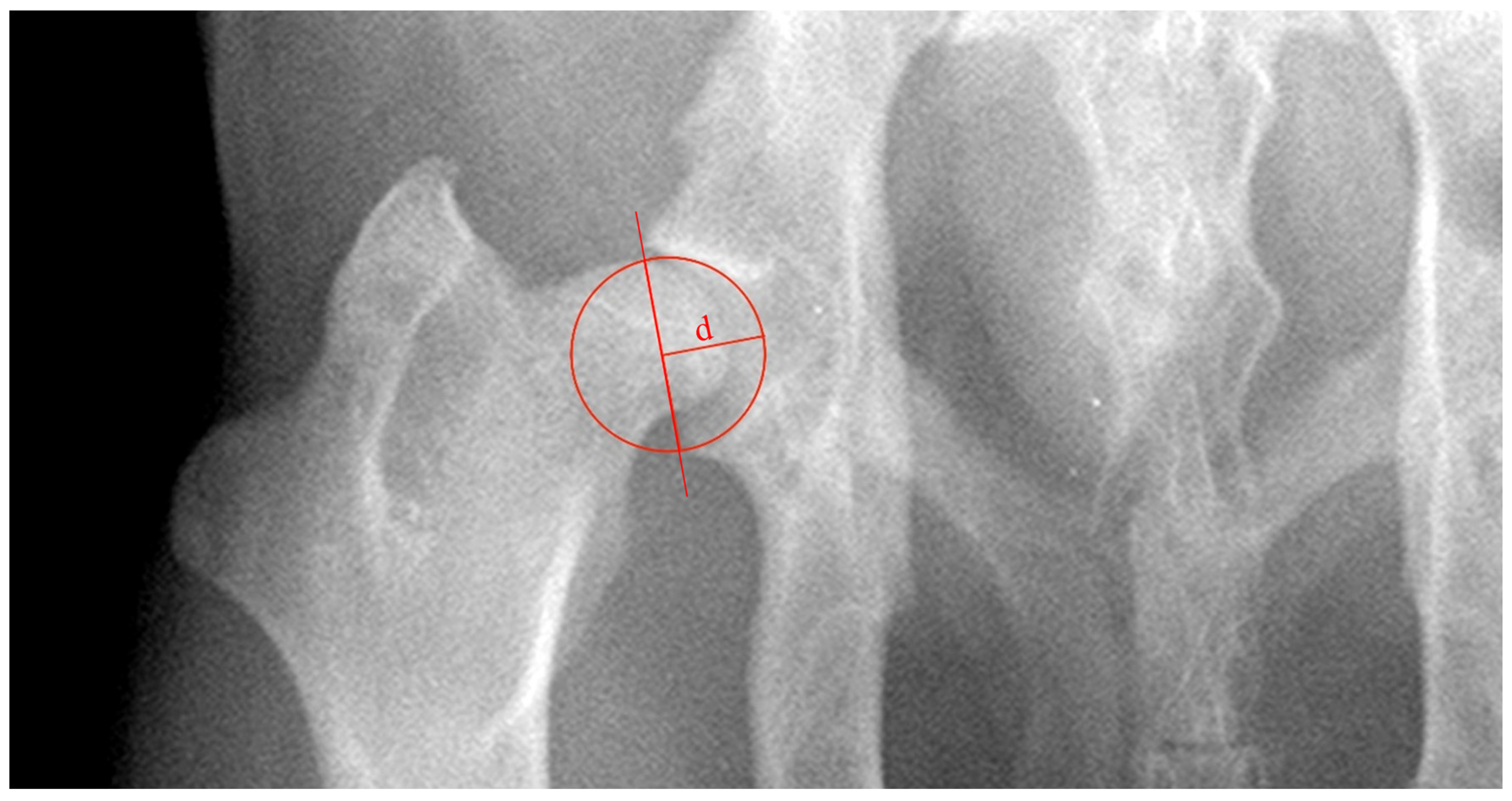 Vetsci 11 00387 g003