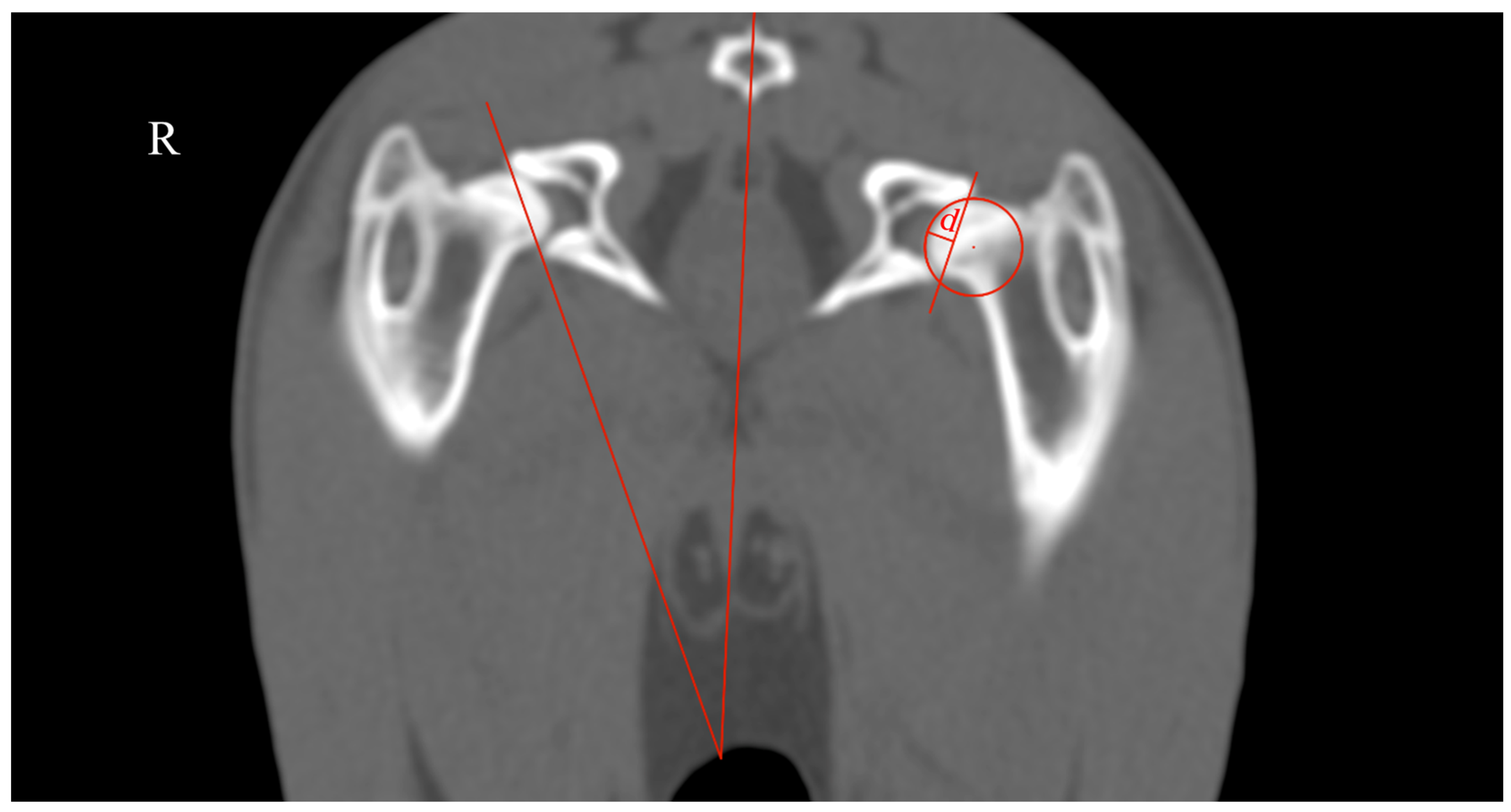 Vetsci 11 00387 g004
