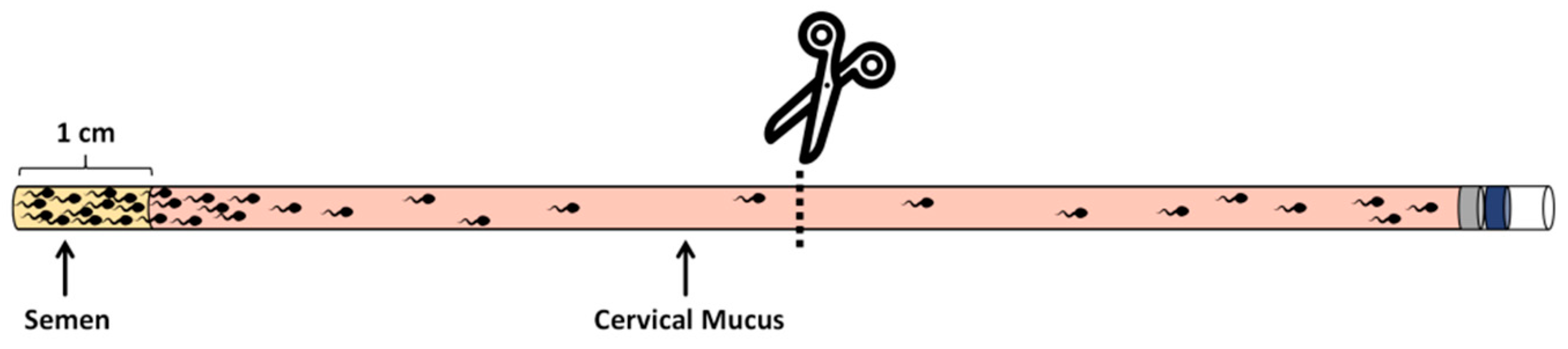 Vetsci 11 00391 g002