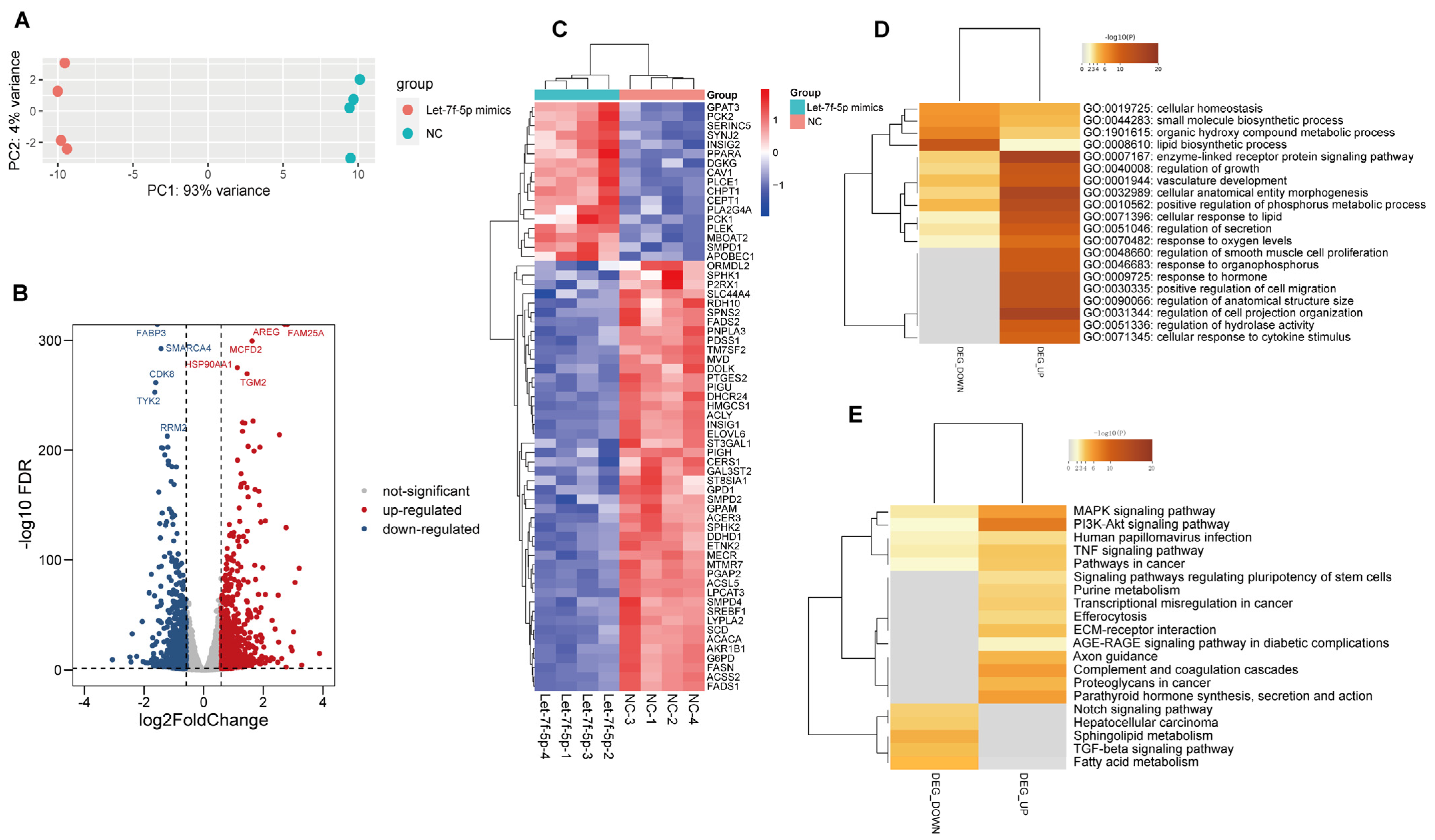 Vetsci 11 00392 g002
