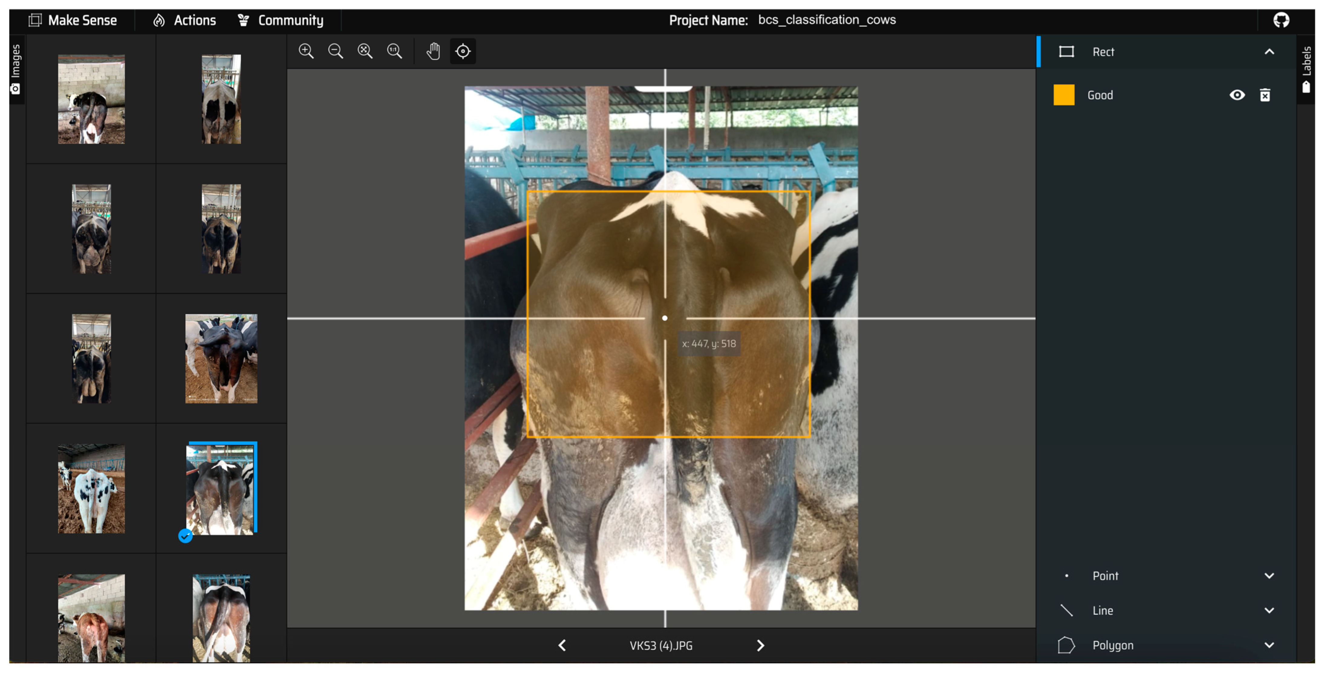 Vetsci 11 00399 g002