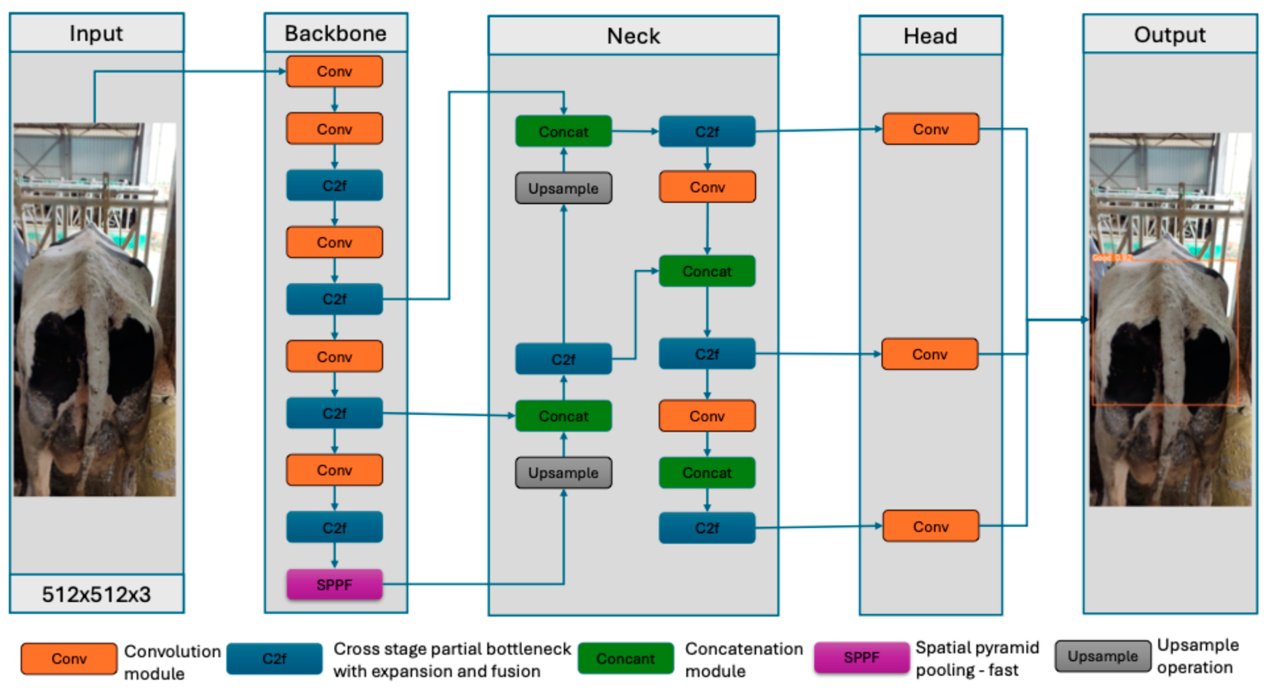 Vetsci 11 00399 g003