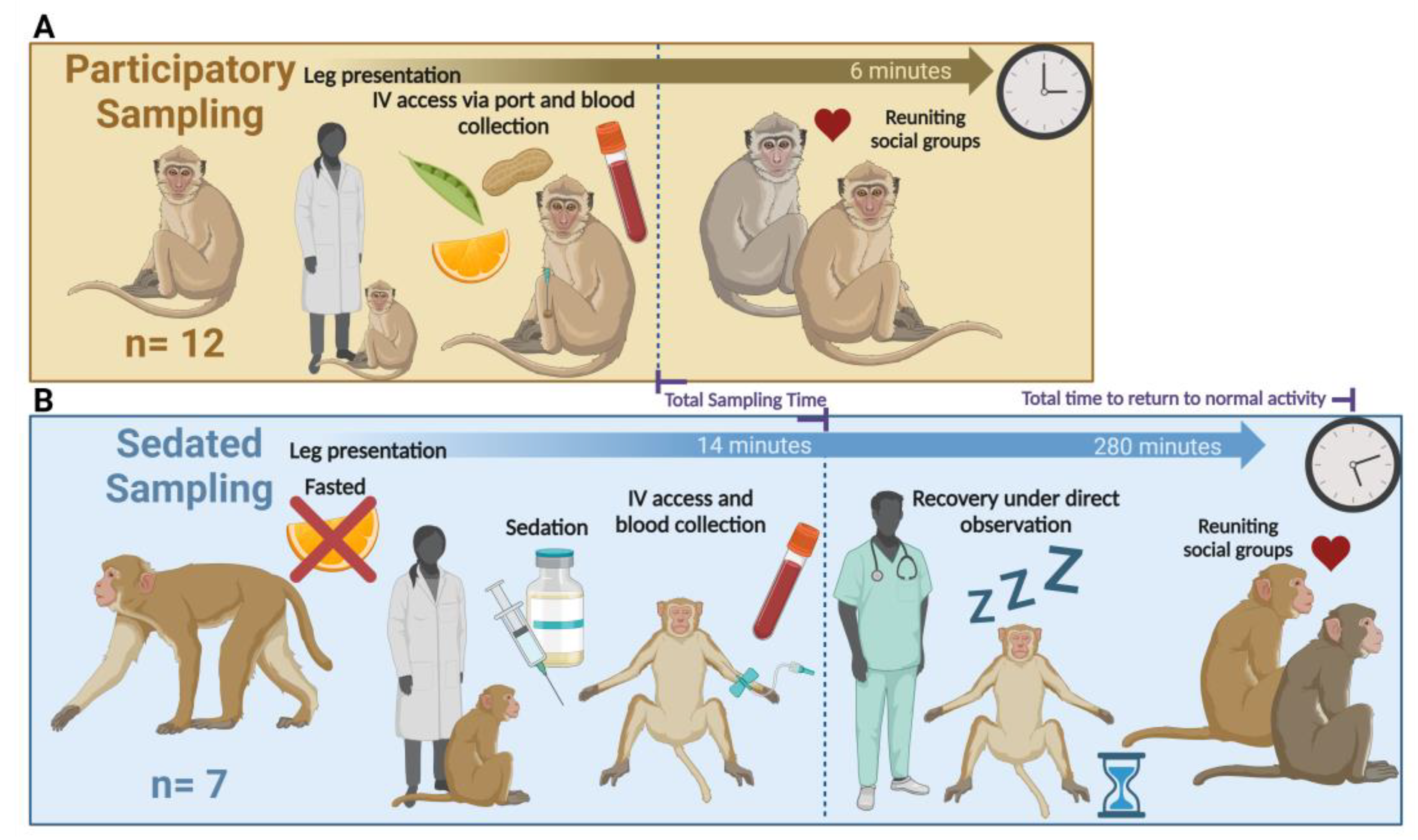Vetsci 11 00401 g001