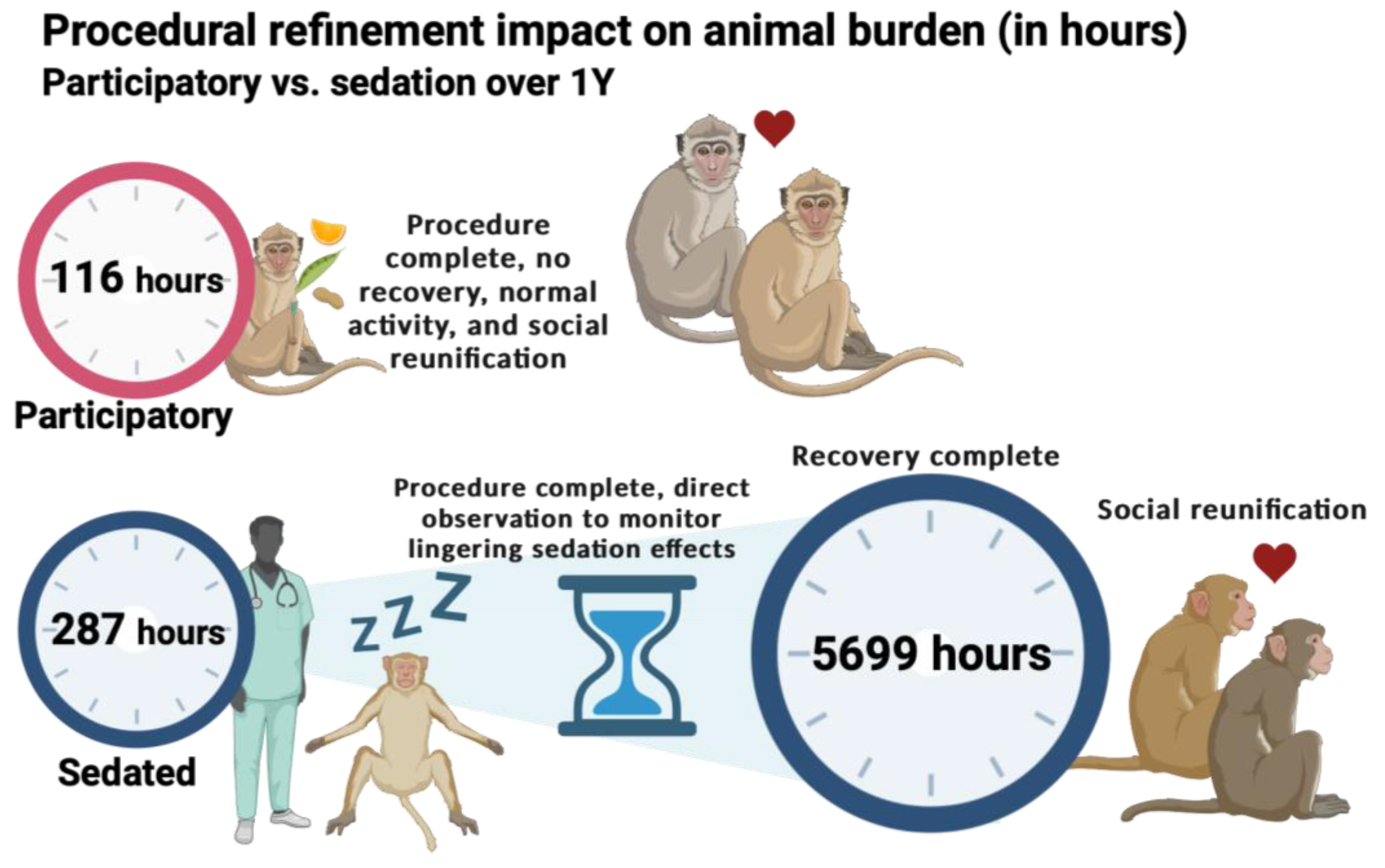 Vetsci 11 00401 g005