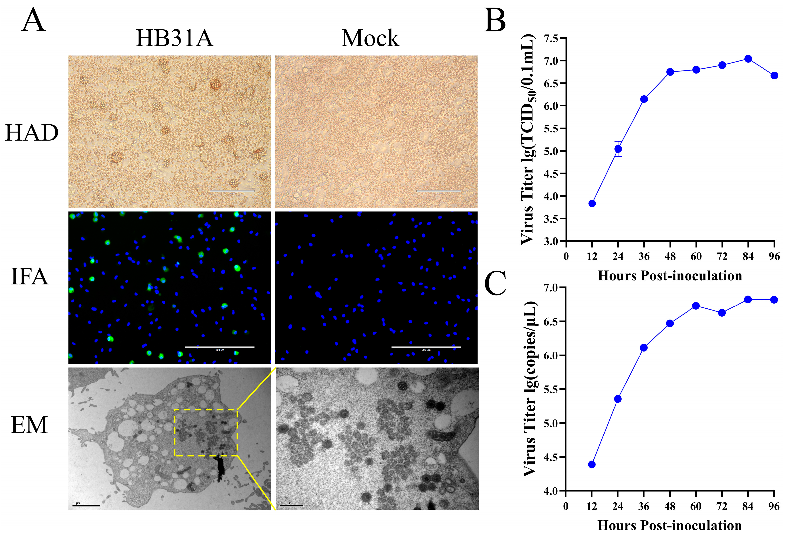 Vetsci 11 00403 g001