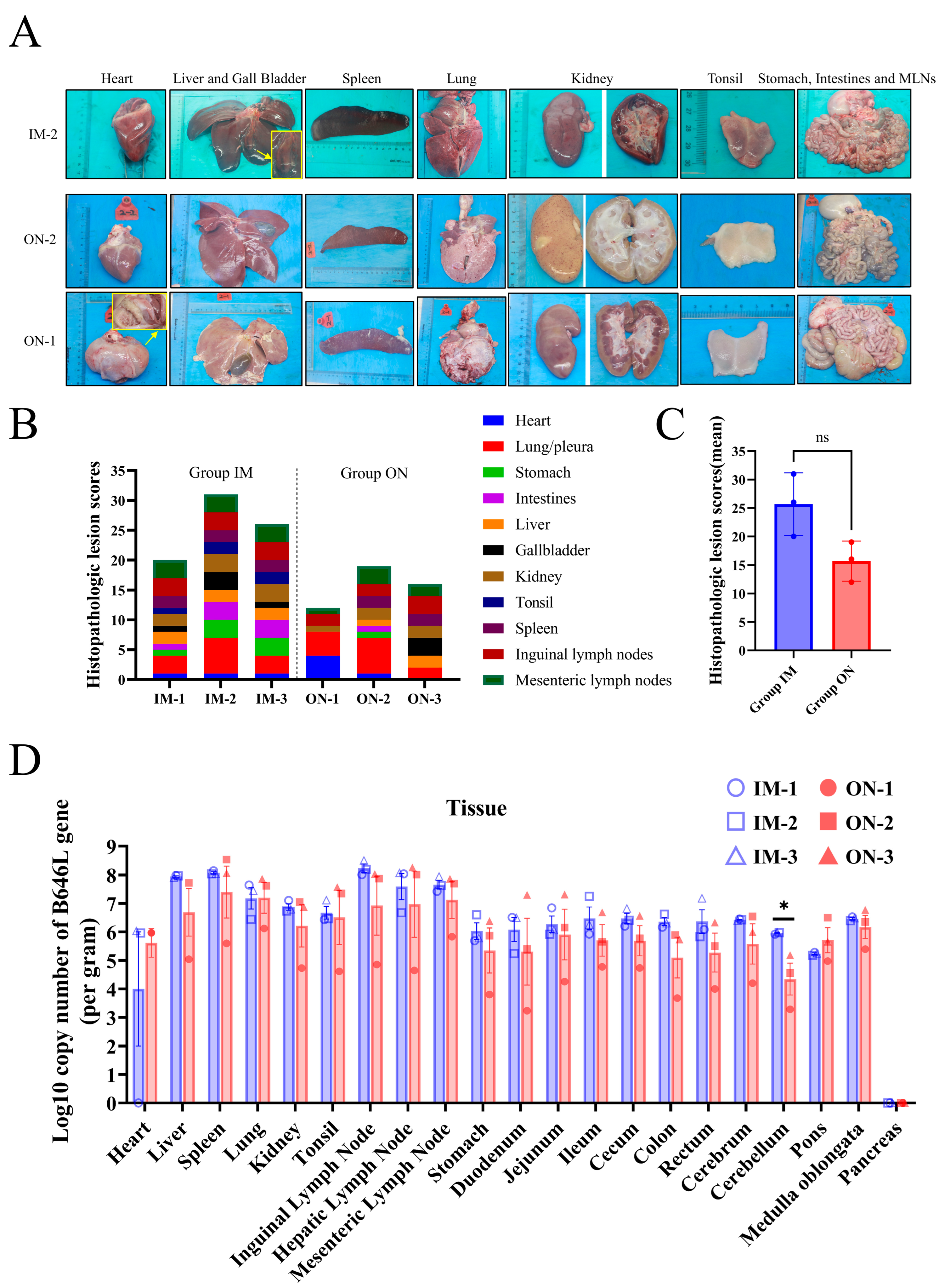 Vetsci 11 00403 g006