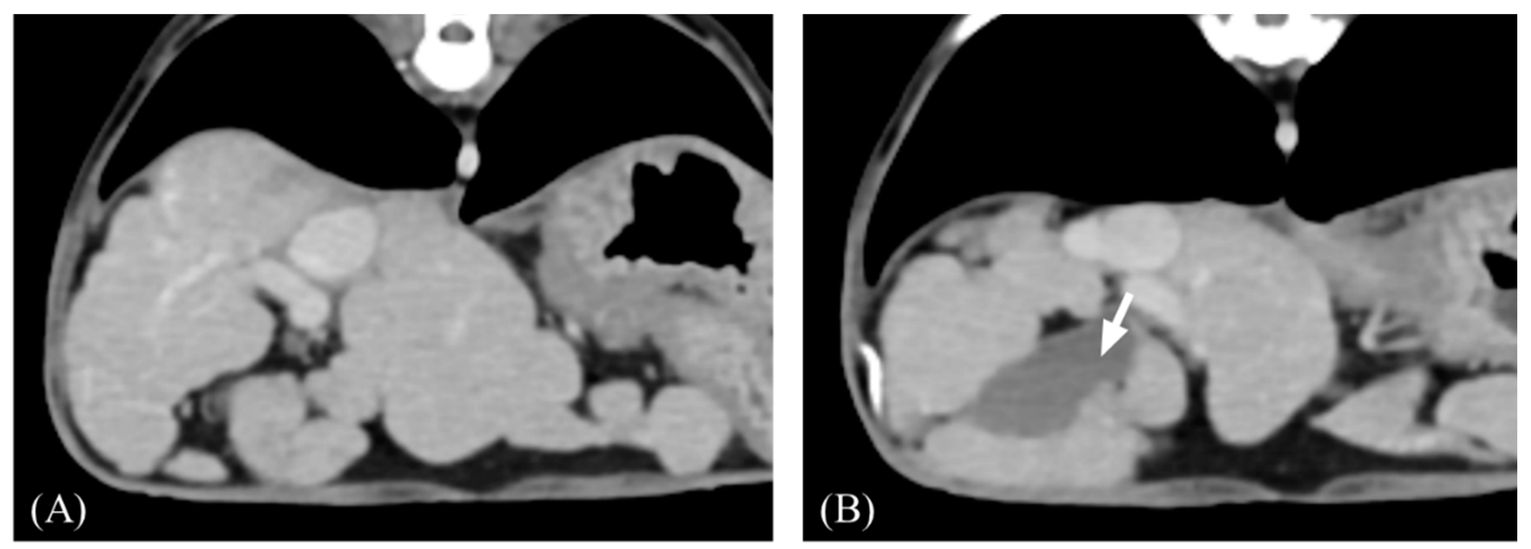 Vetsci 11 00404 g001 Vetsci 11 00404 g001