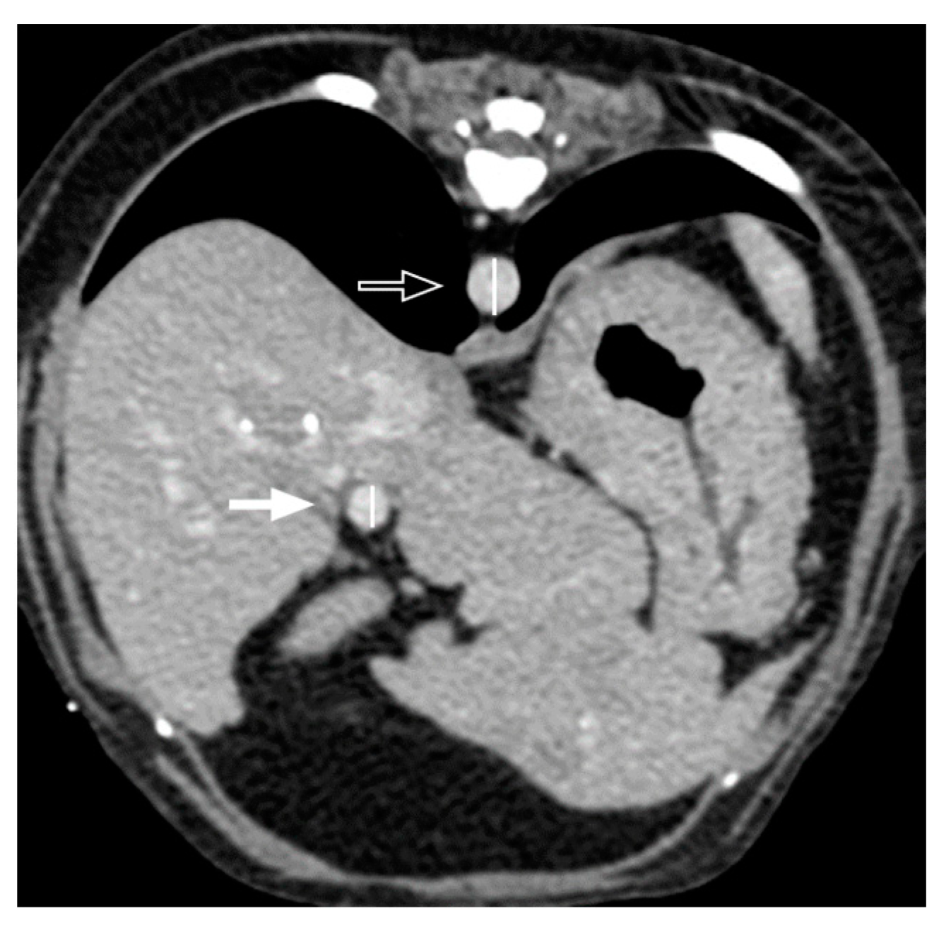 Vetsci 11 00404 g002 Vetsci 11 00404 g002