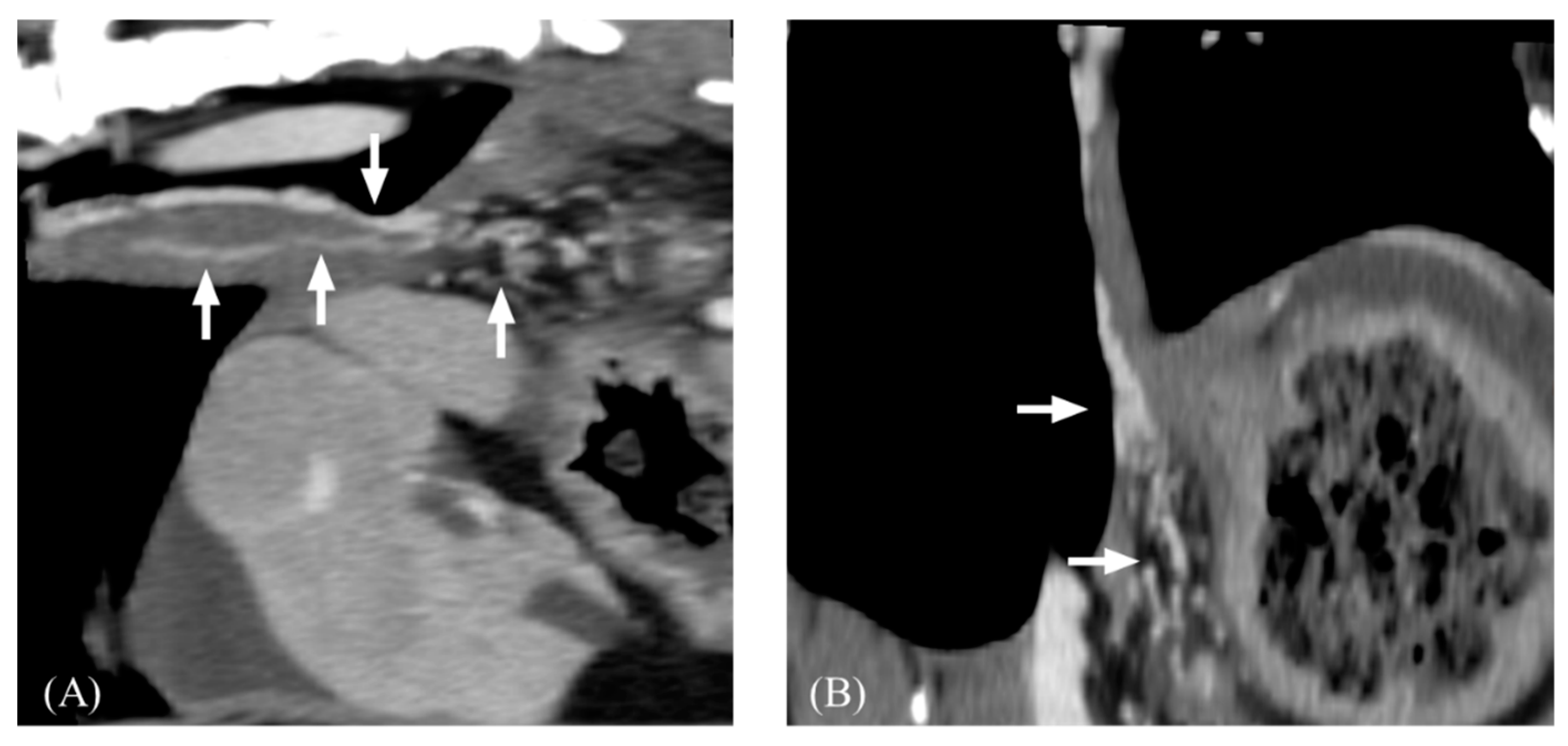 Vetsci 11 00404 g006 Vetsci 11 00404 g006