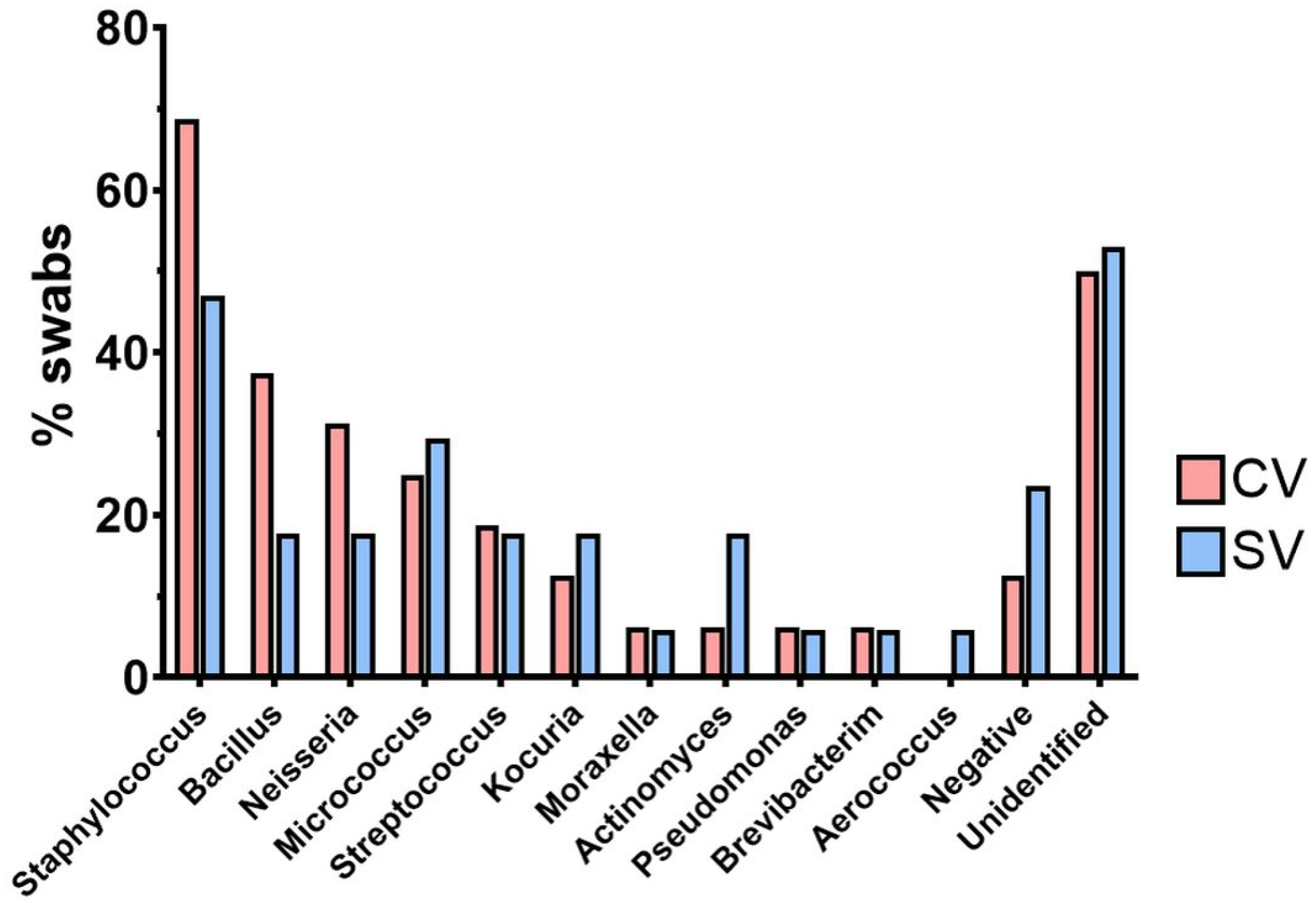 Vetsci 11 00407 g004