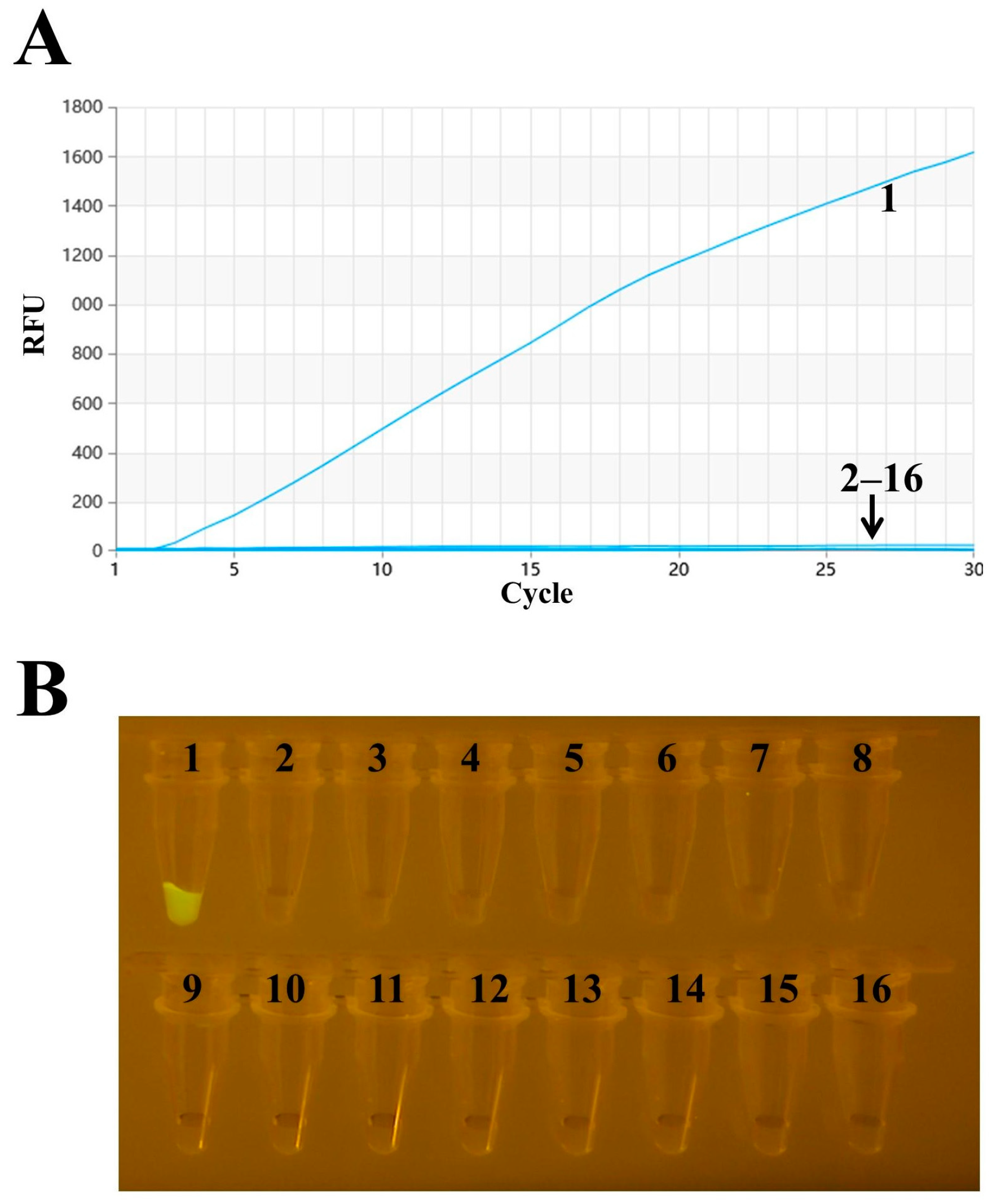Vetsci 11 00411 g003