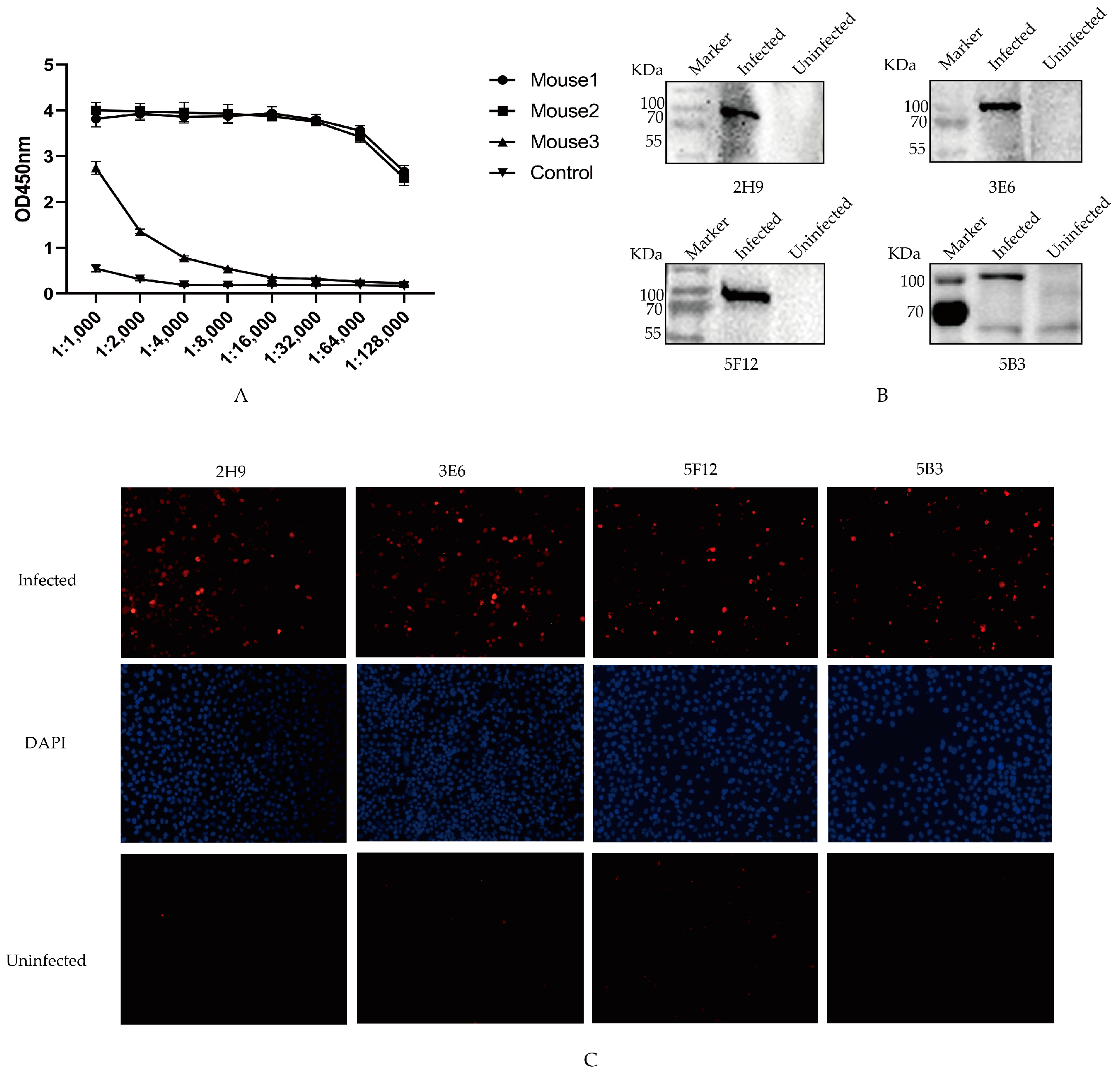 Vetsci 11 00412 g002
