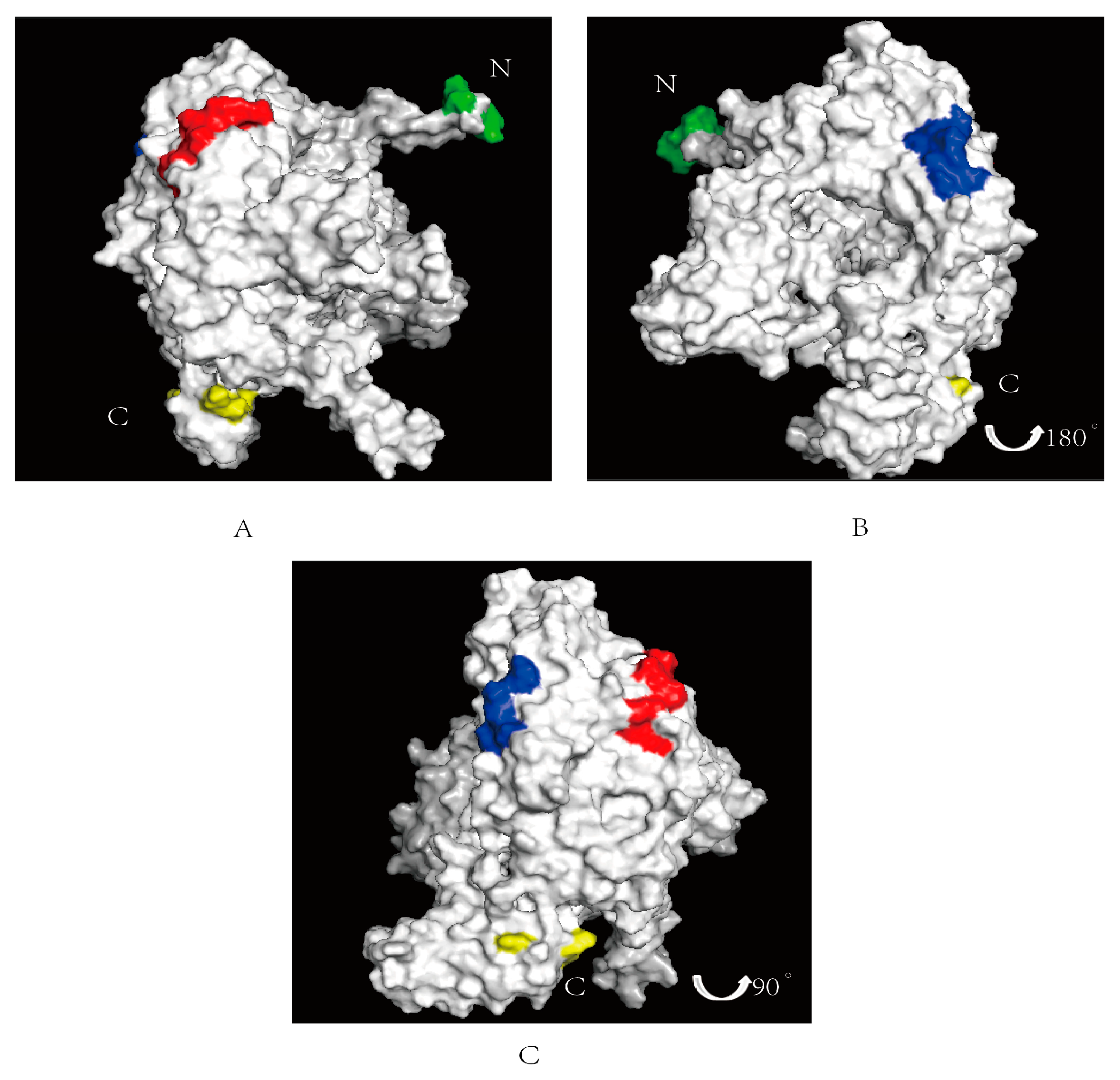Vetsci 11 00412 g005