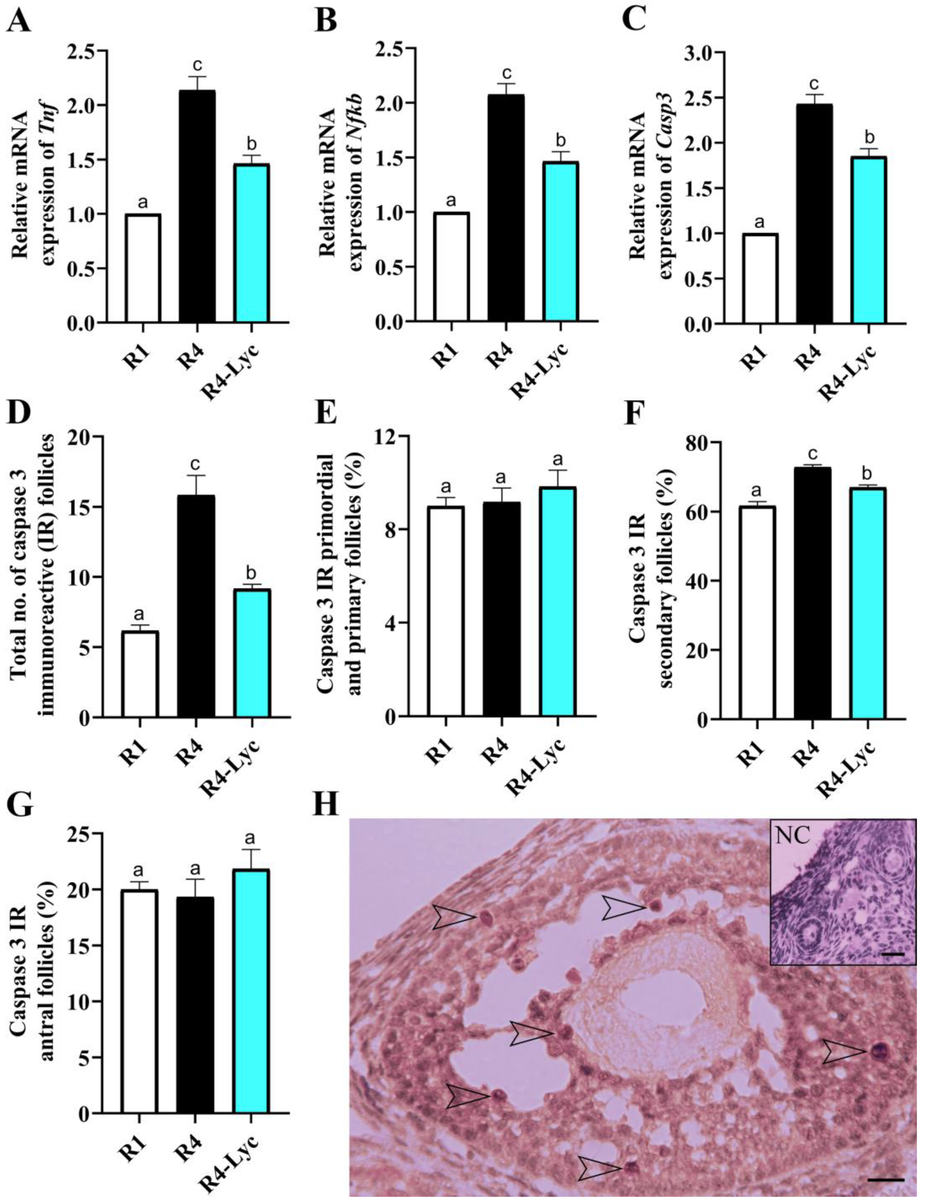 Vetsci 11 00414 g004