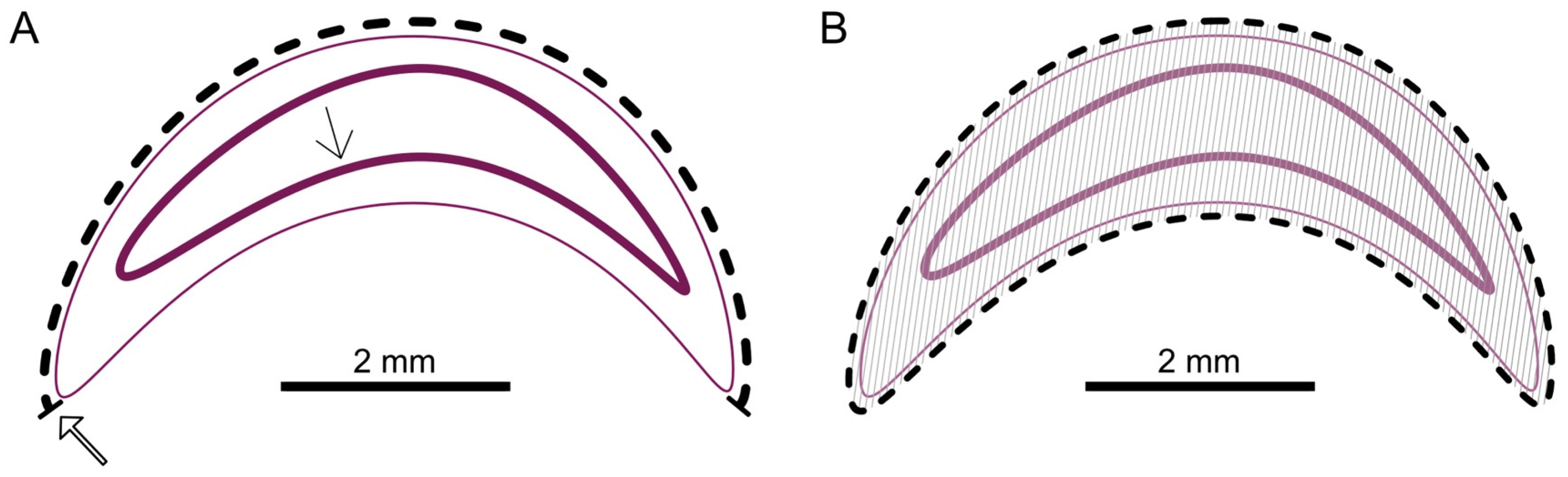Vetsci 11 00415 g002