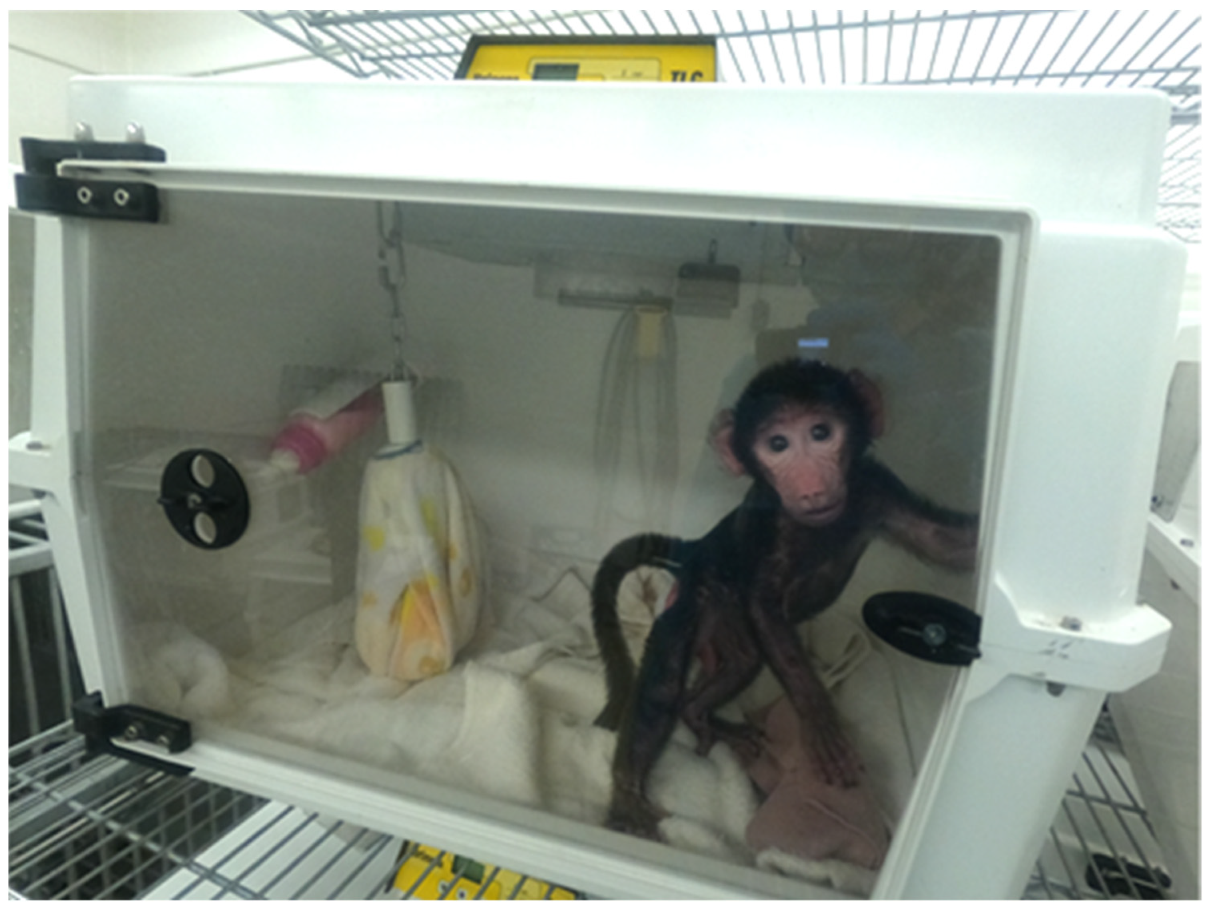 Vetsci 11 00416 g001