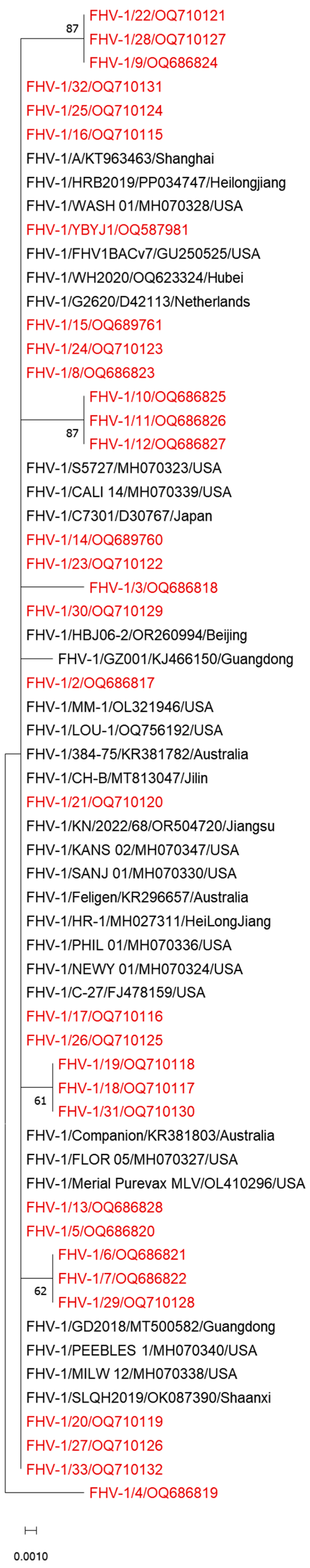 Vetsci 11 00417 g002