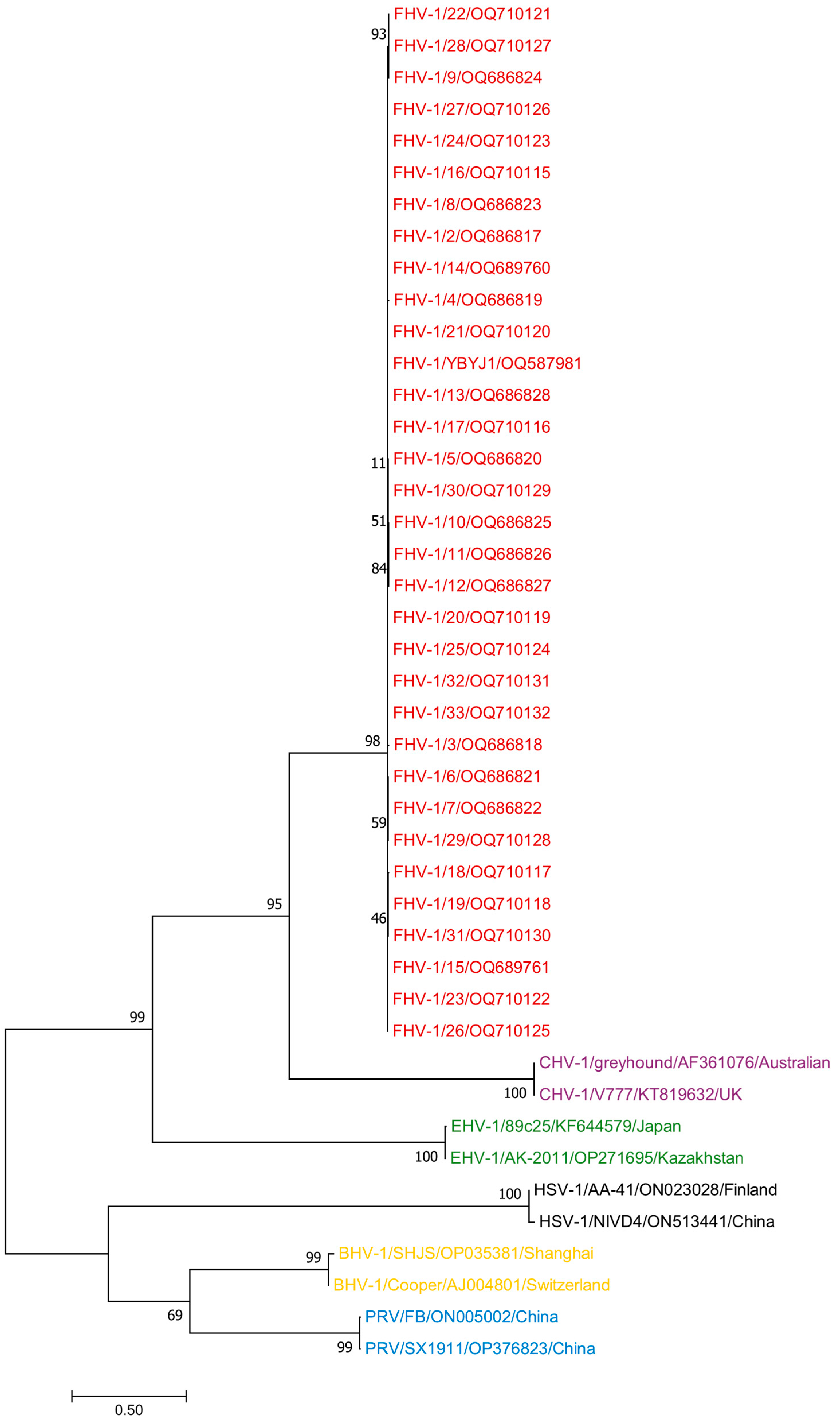 Vetsci 11 00417 g003