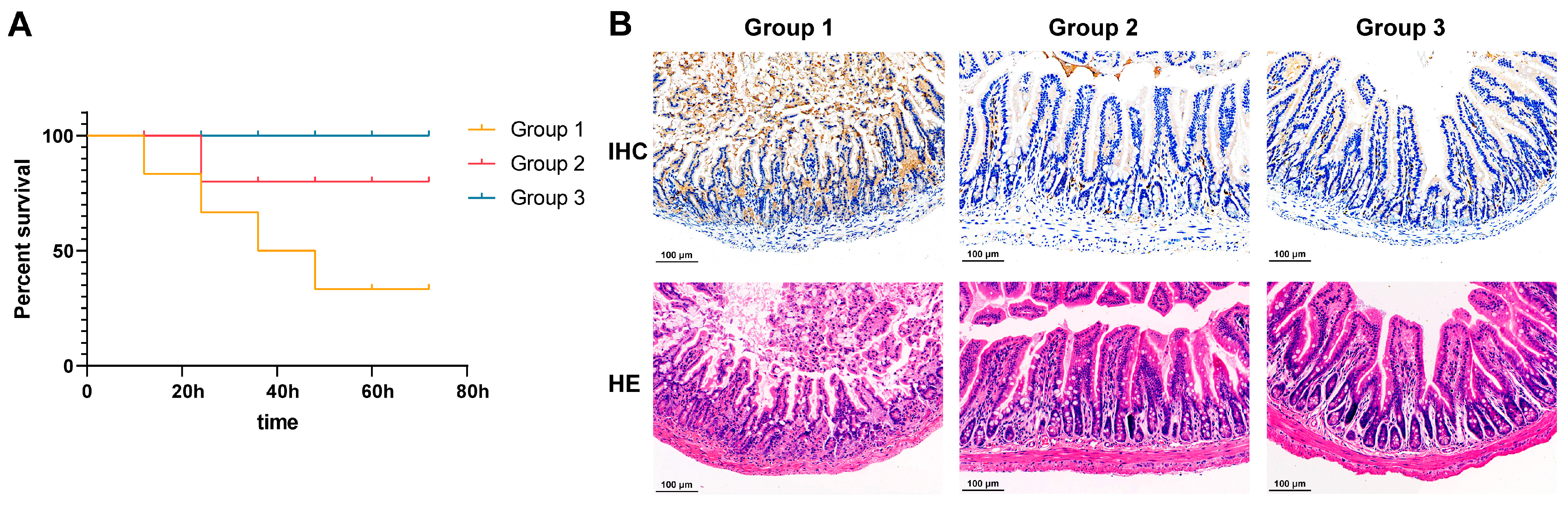 Vetsci 11 00419 g005 Vetsci 11 00419 g005