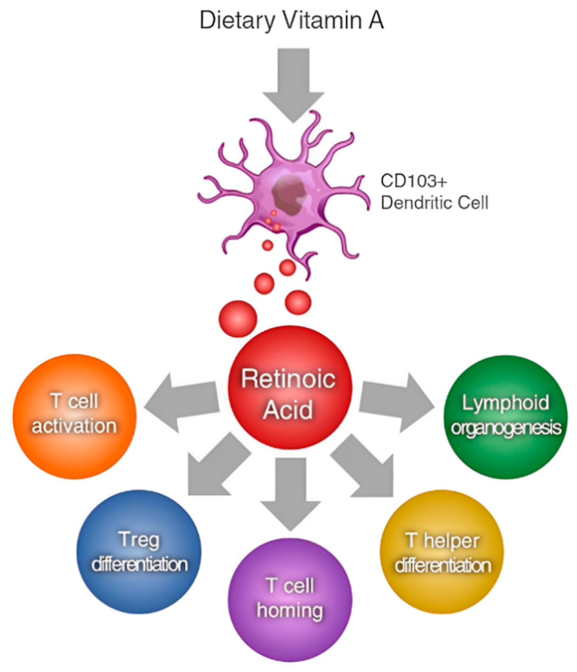 Vetsci 11 00421 g002
