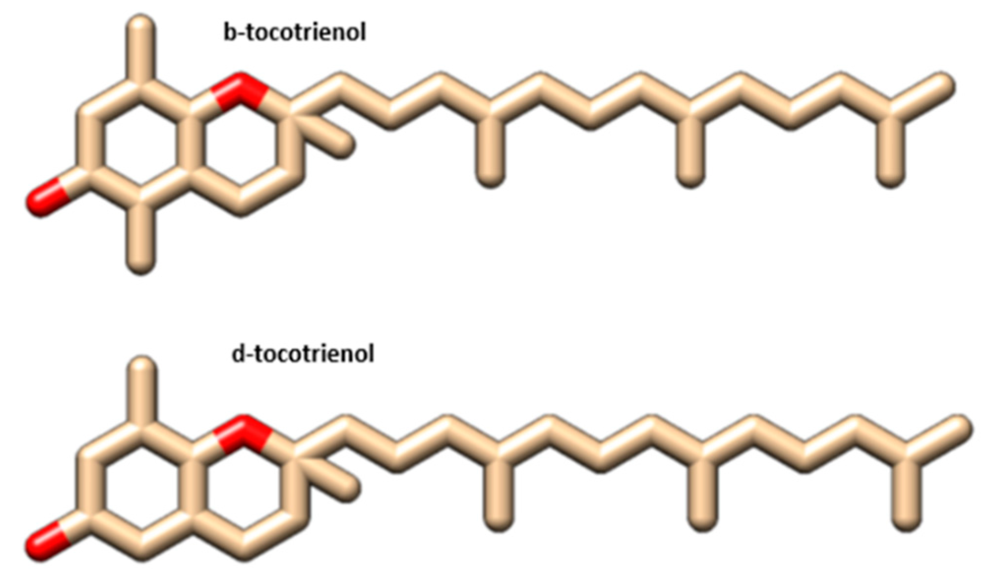 Vetsci 11 00424 g002