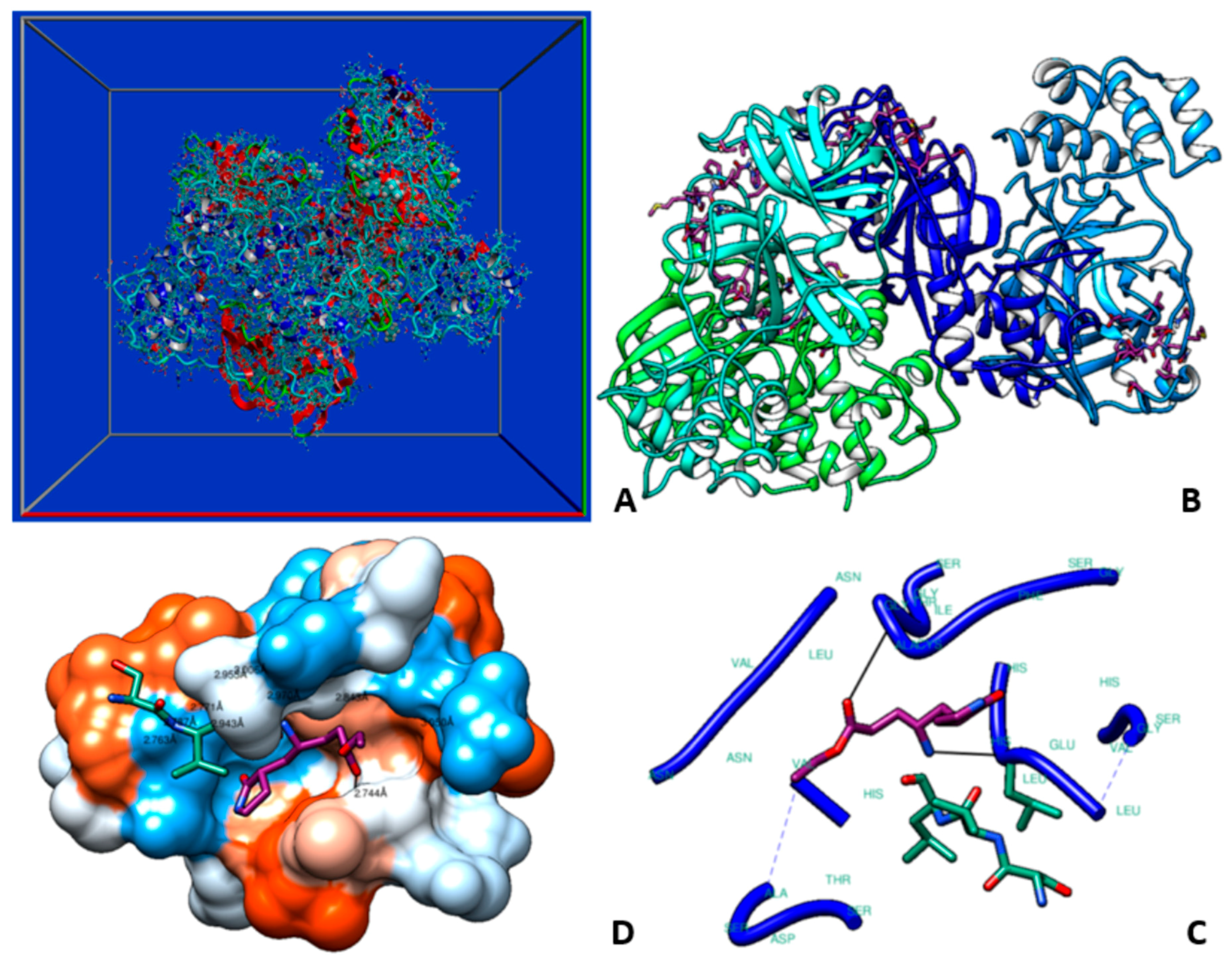 Vetsci 11 00424 g003