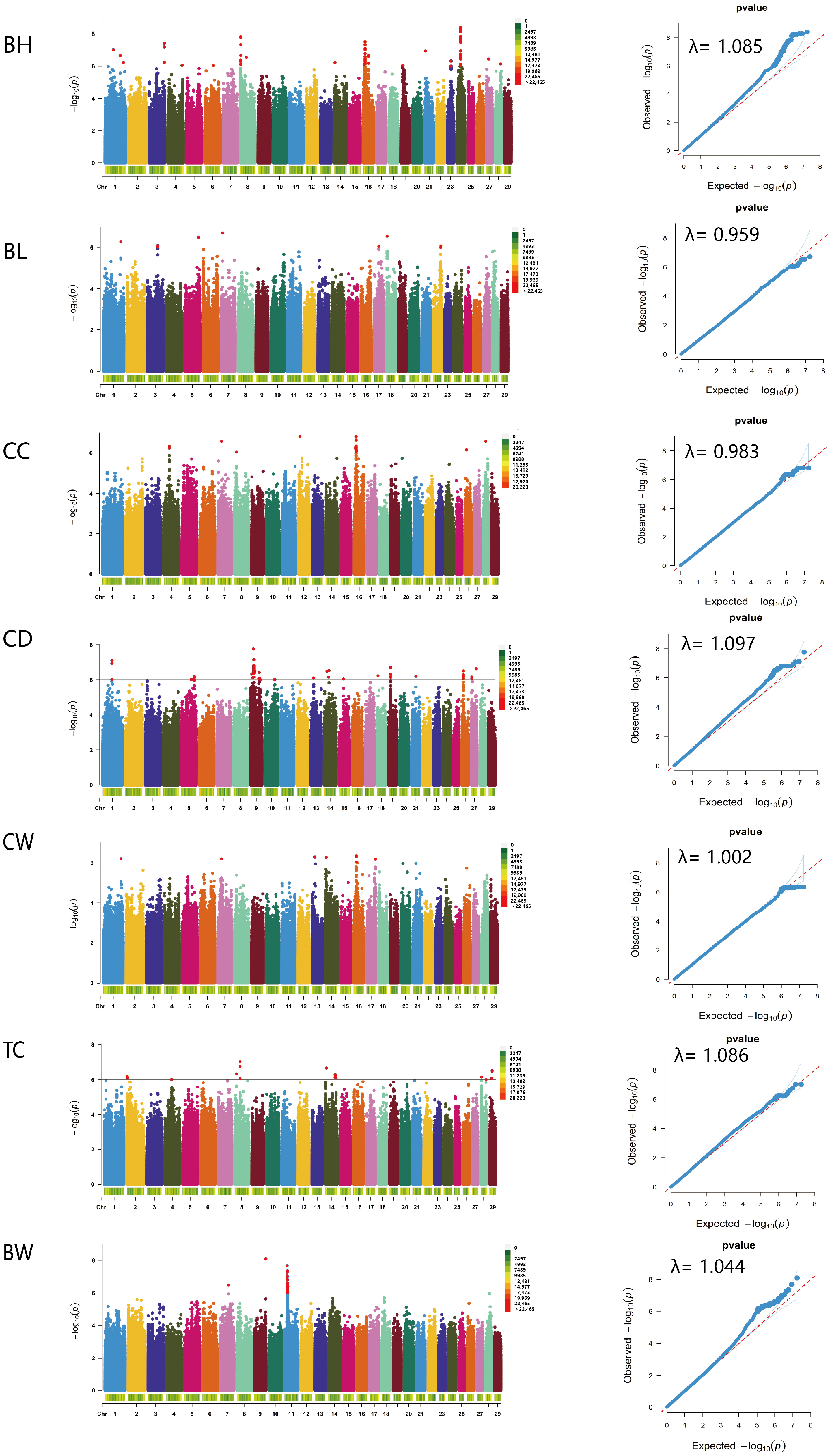 Vetsci 11 00428 g005
