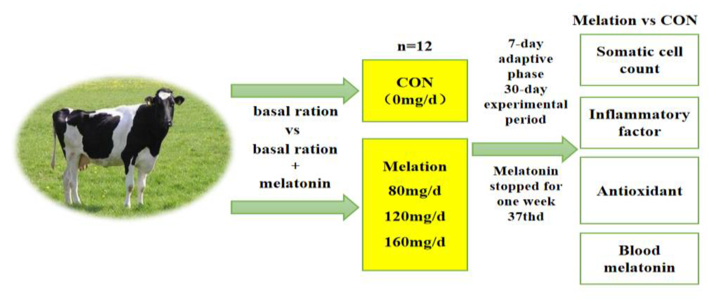 Vetsci 11 00431 g001 Vetsci 11 00431 g001