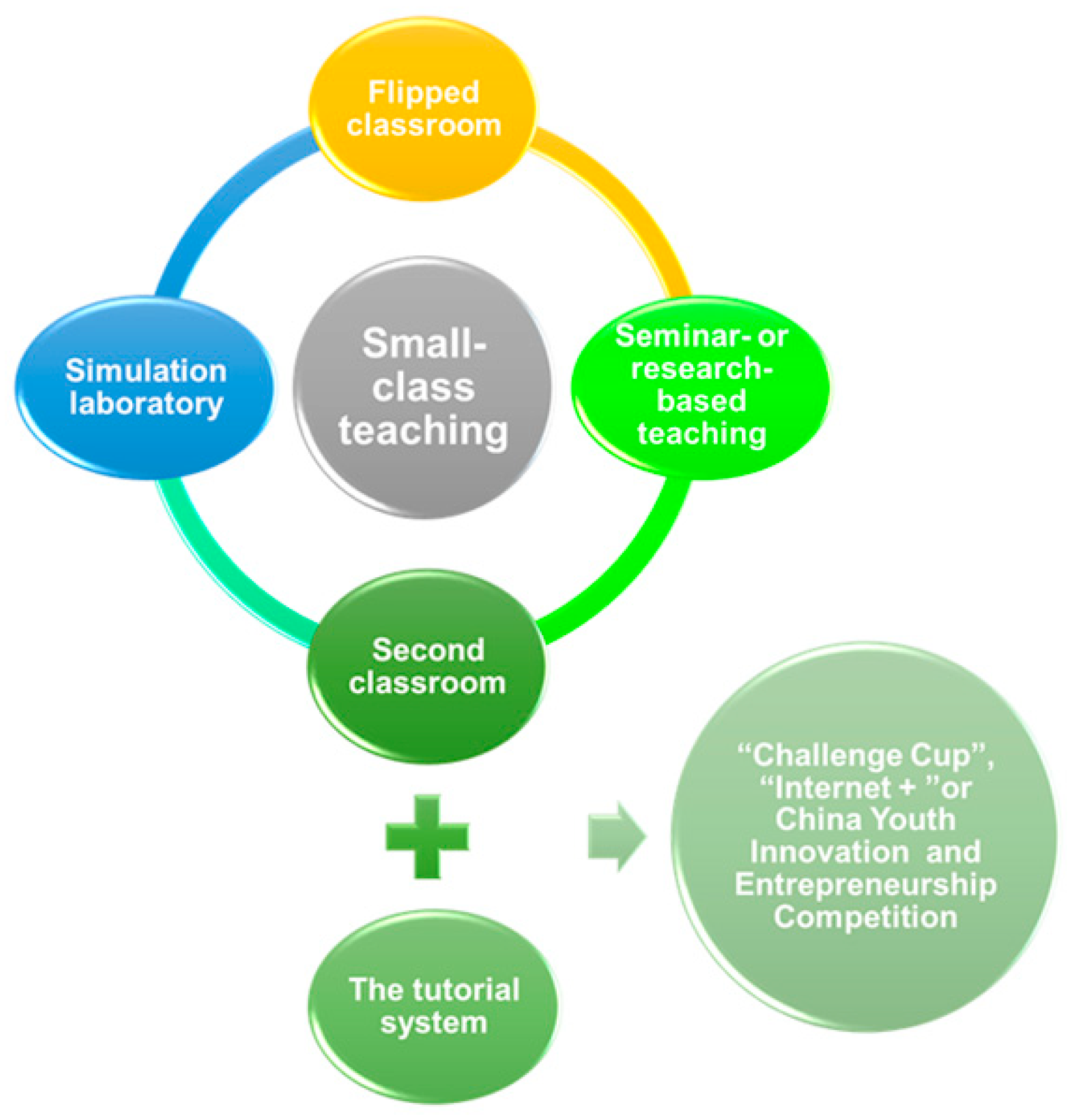 Vetsci 11 00432 g001