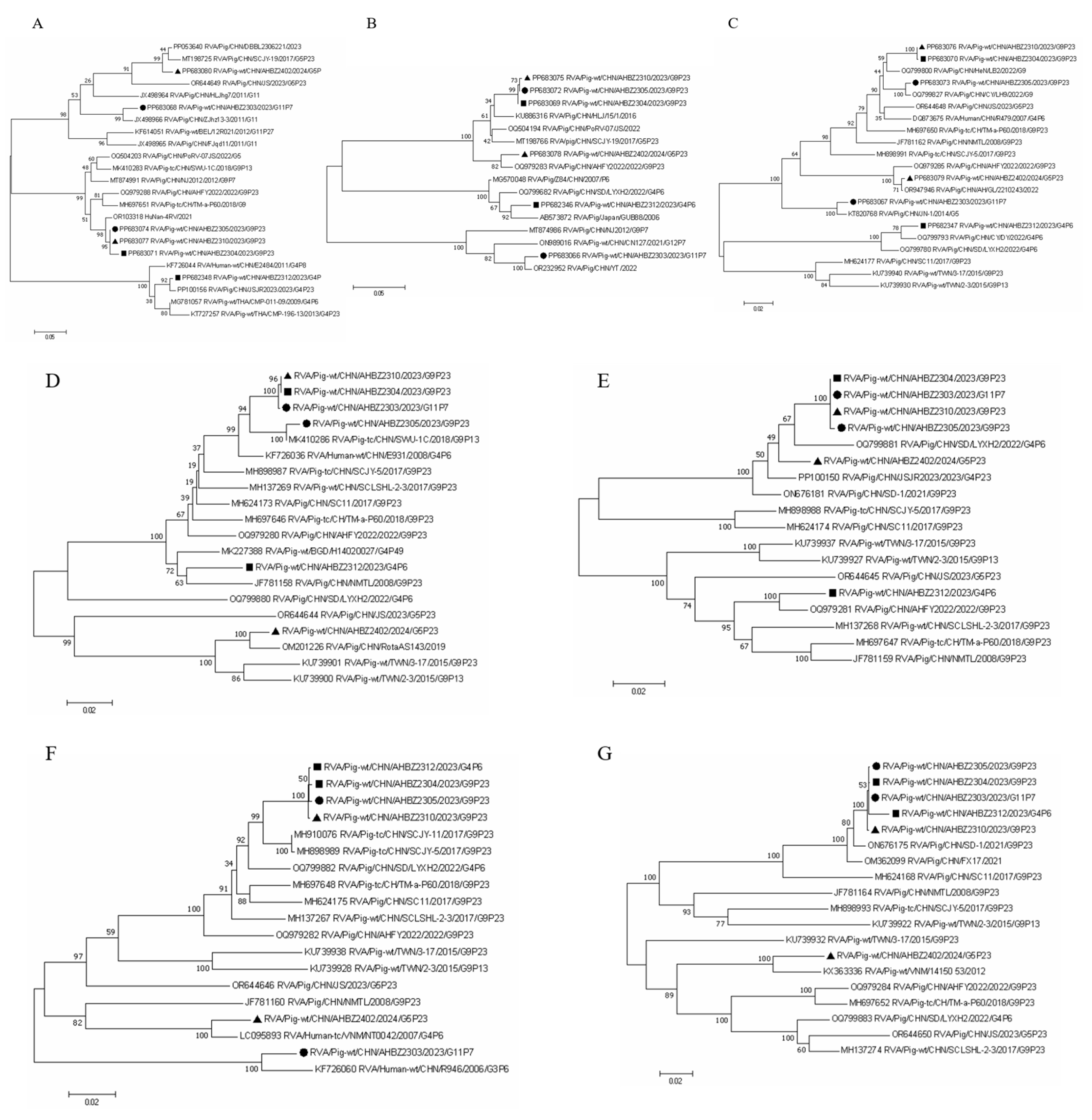 Vetsci 11 00436 g002a