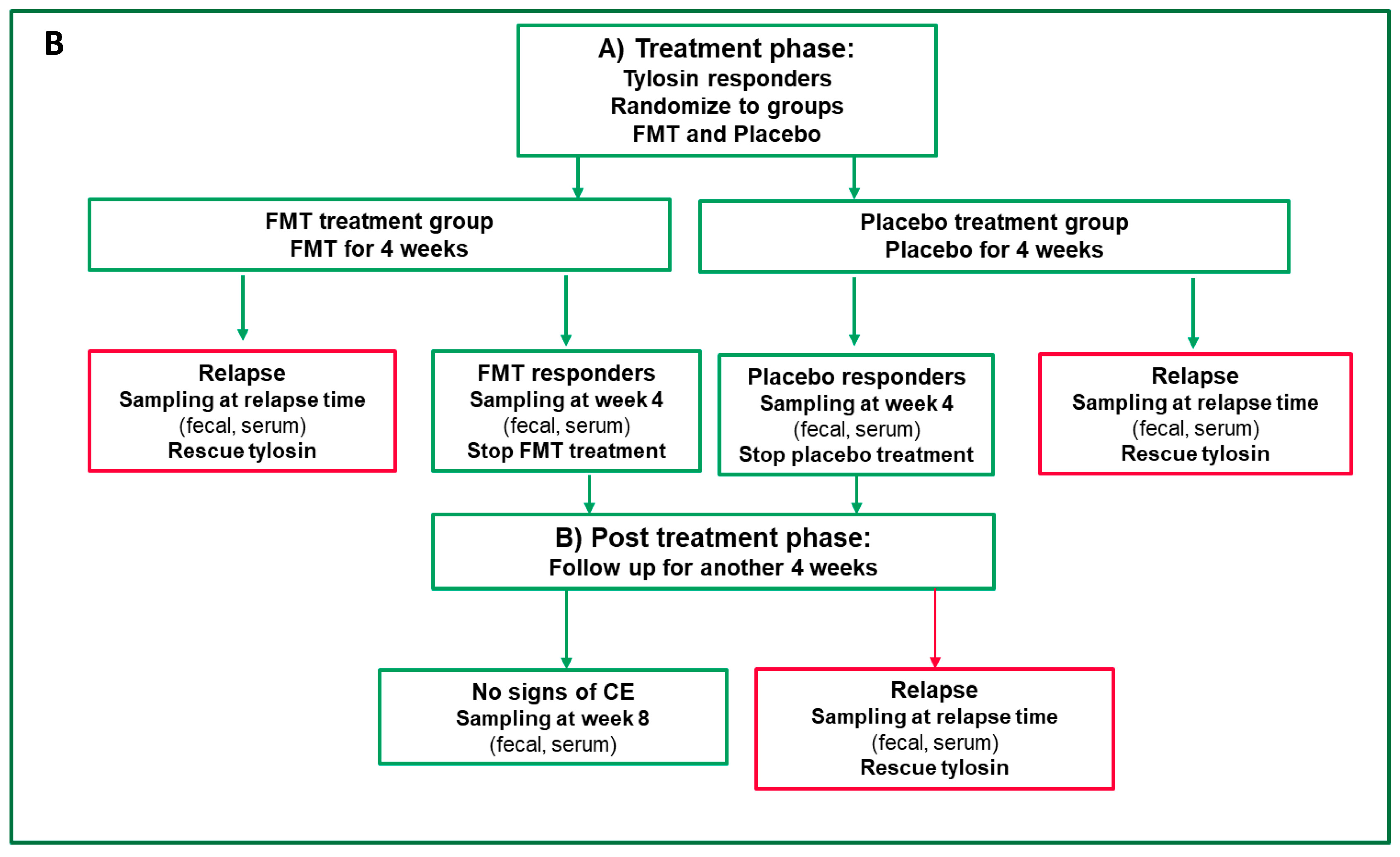 Vetsci 11 00439 g001b