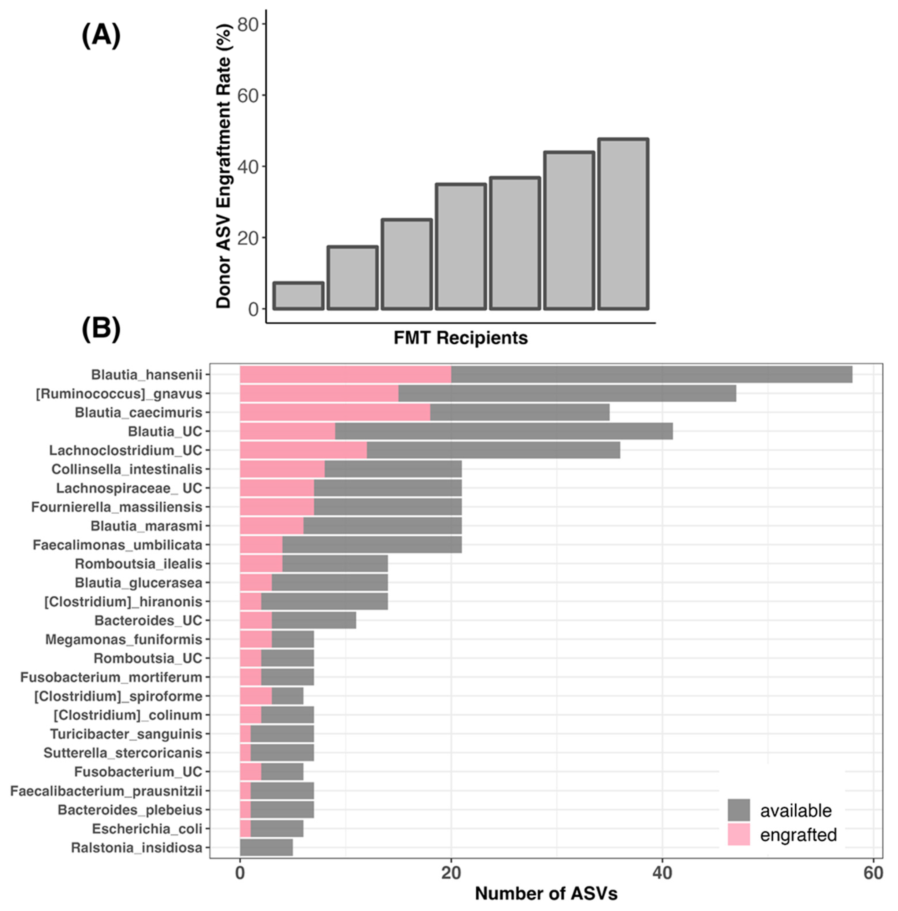 Vetsci 11 00439 g011
