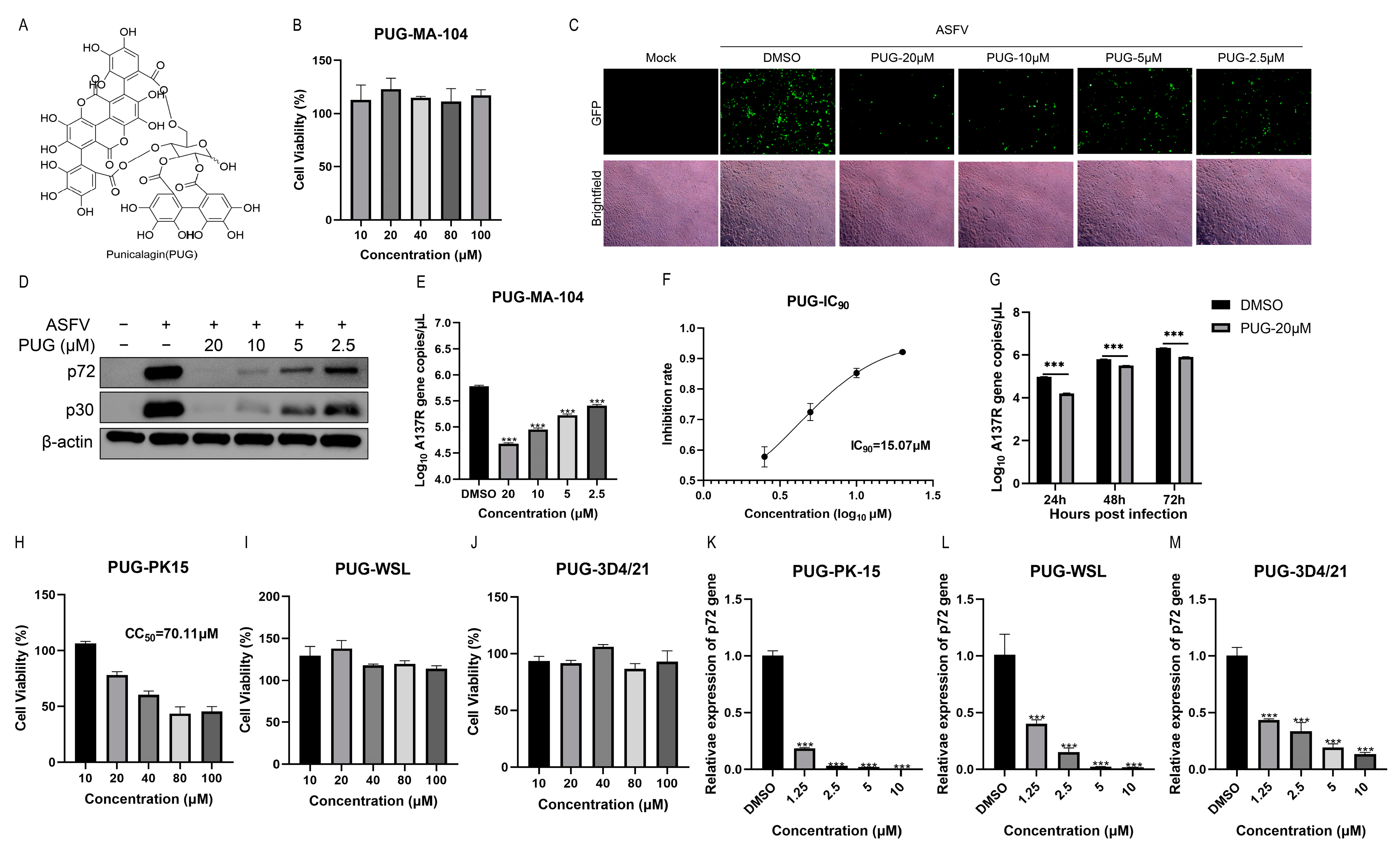 Vetsci 11 00440 g002