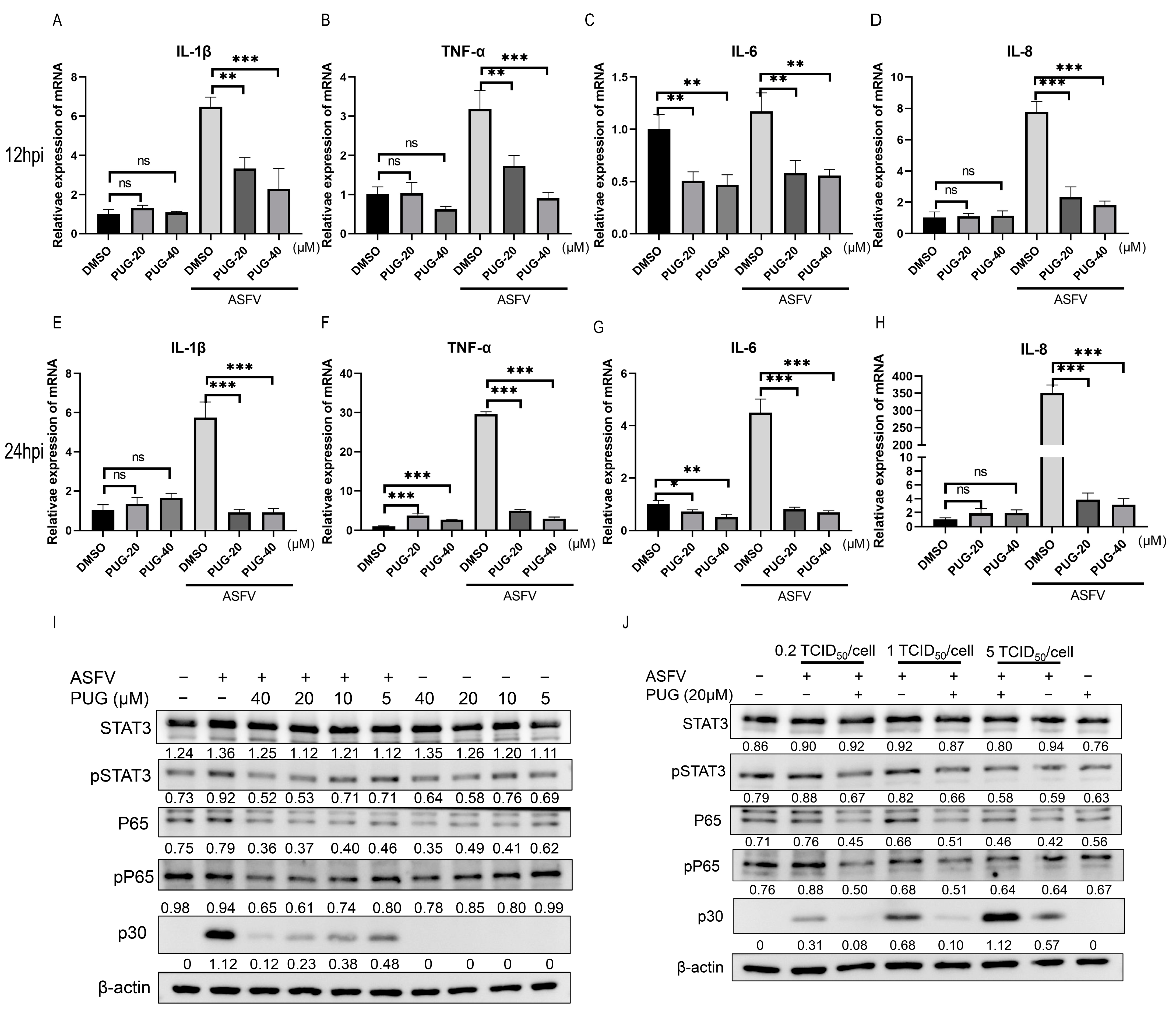 Vetsci 11 00440 g004