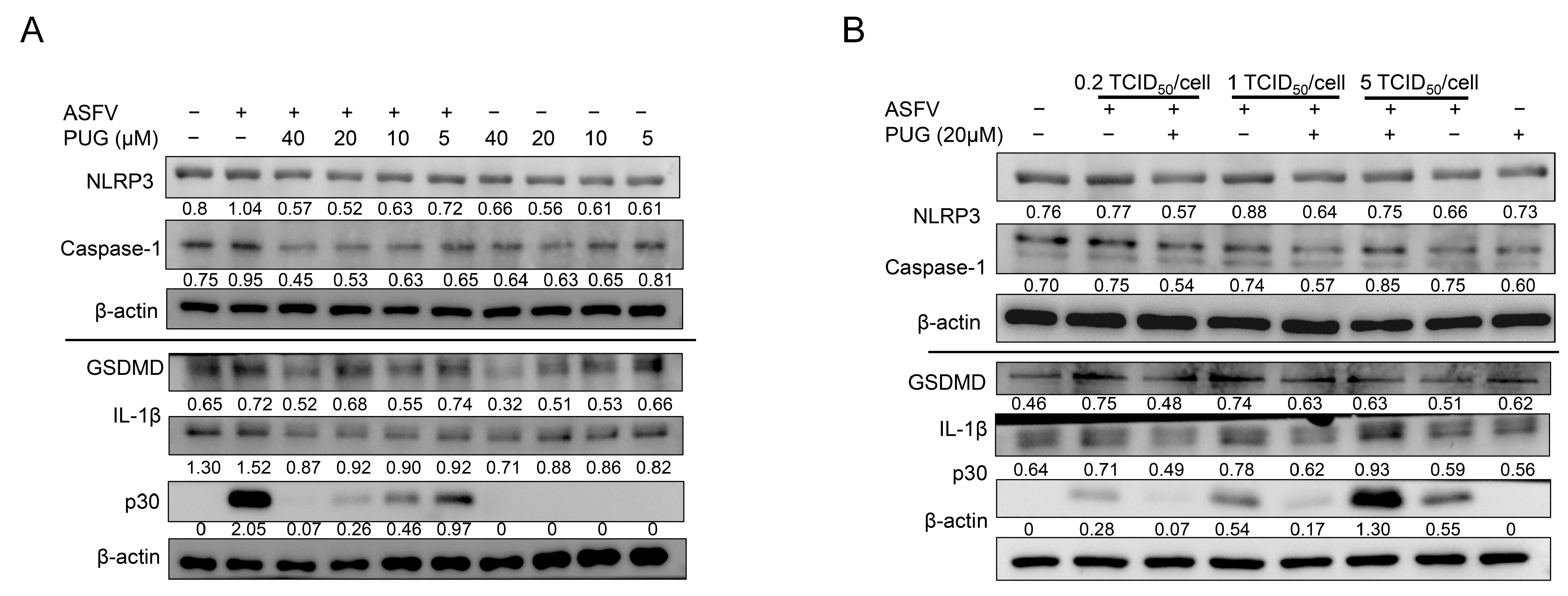 Vetsci 11 00440 g005