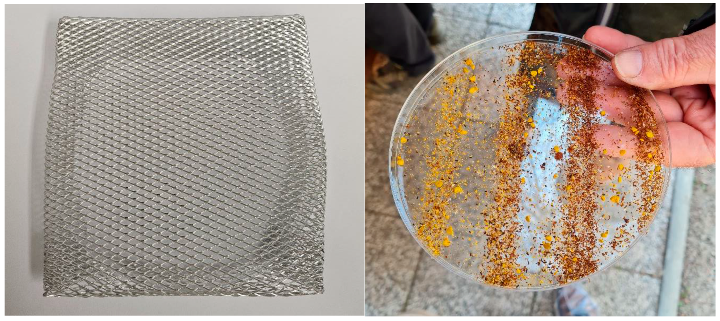 Vetsci 11 00442 g001