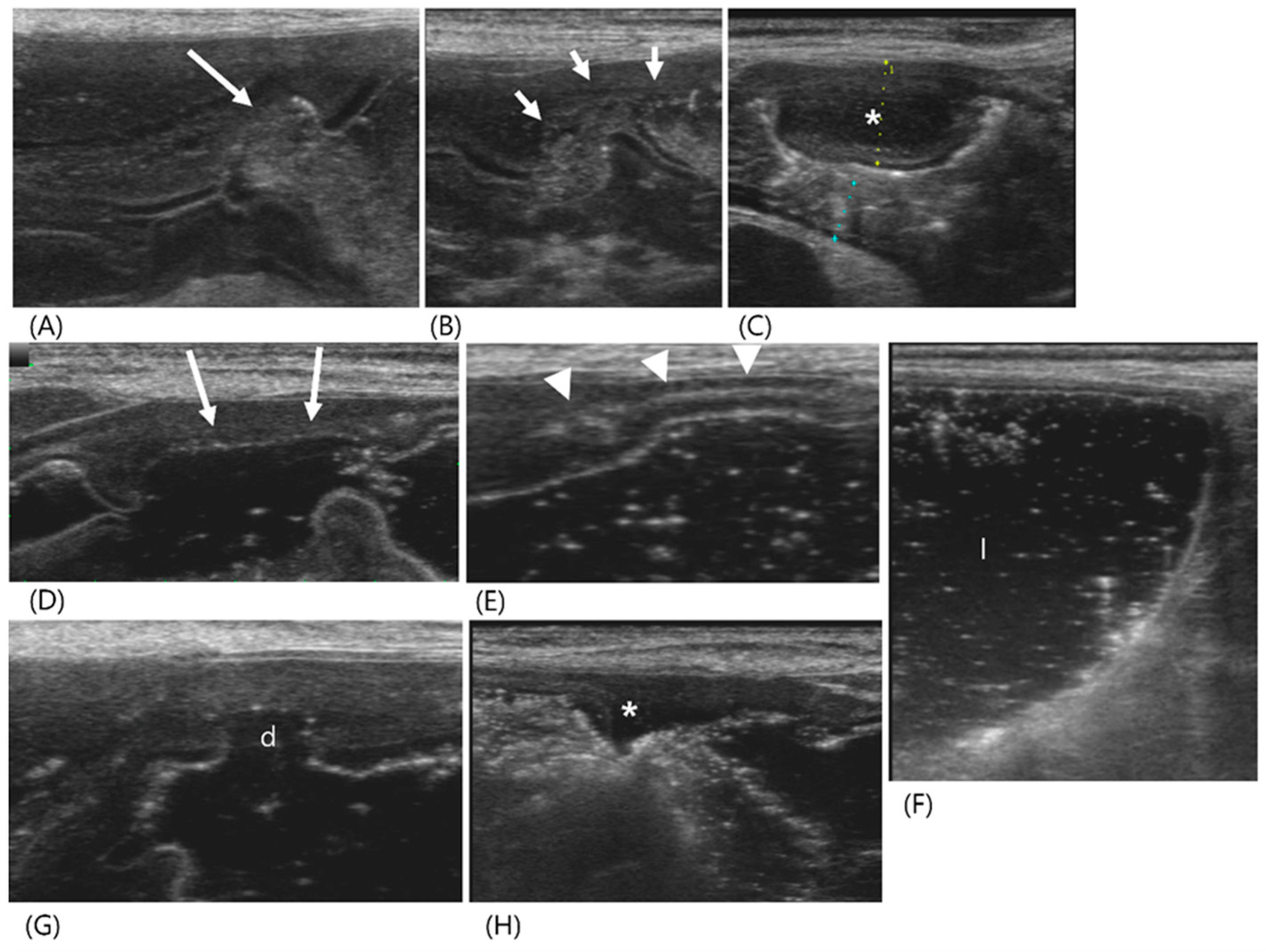 Vetsci 11 00443 g001 Vetsci 11 00443 g001