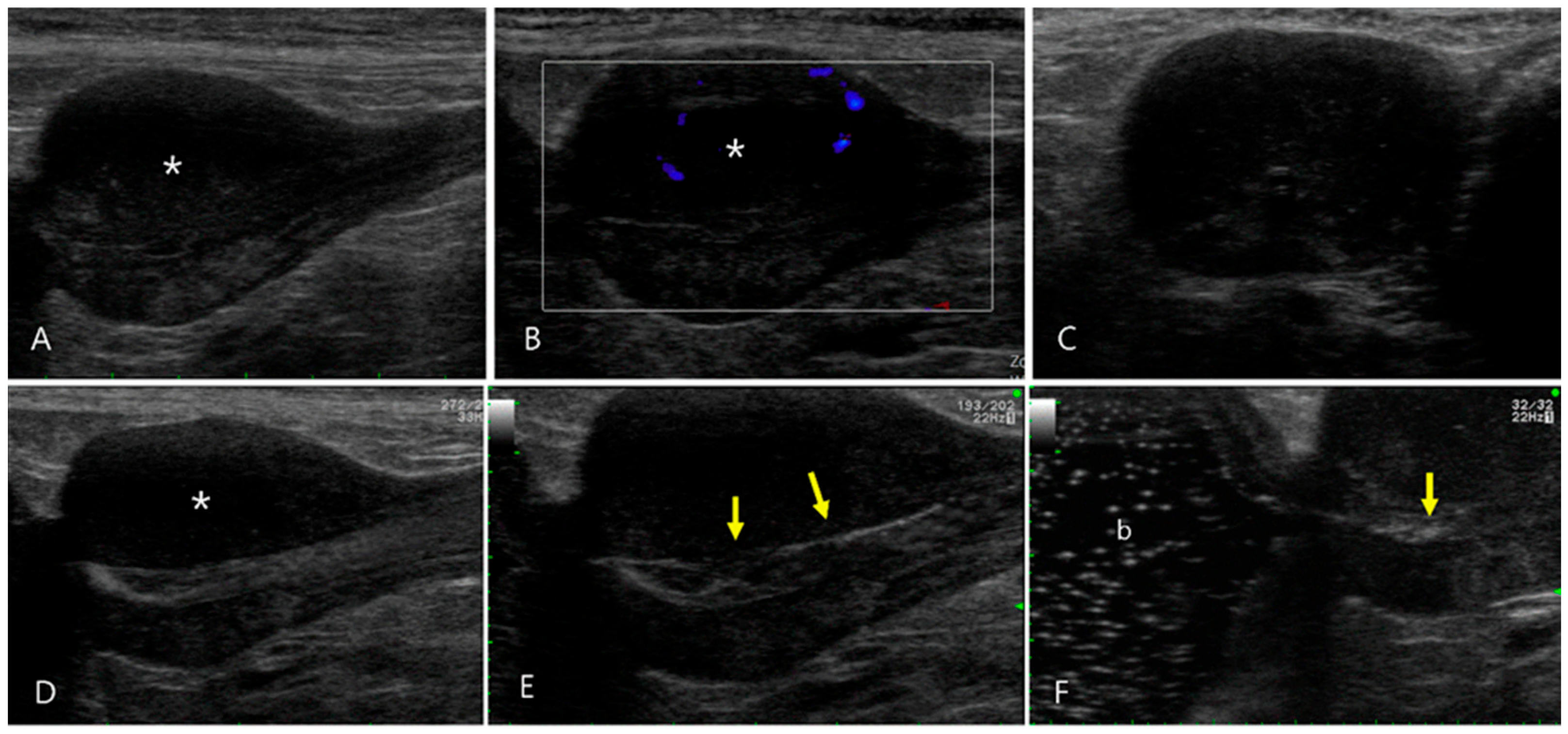 Vetsci 11 00443 g004 Vetsci 11 00443 g004