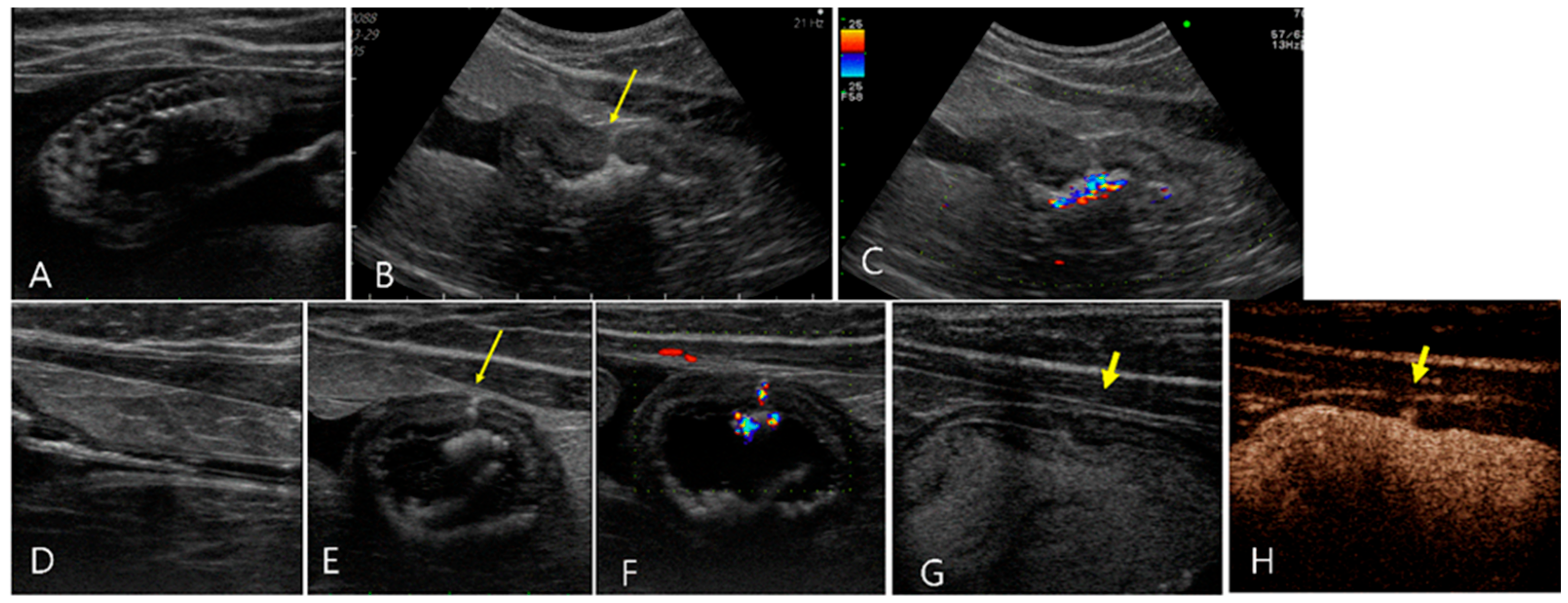 Vetsci 11 00443 g005 Vetsci 11 00443 g005