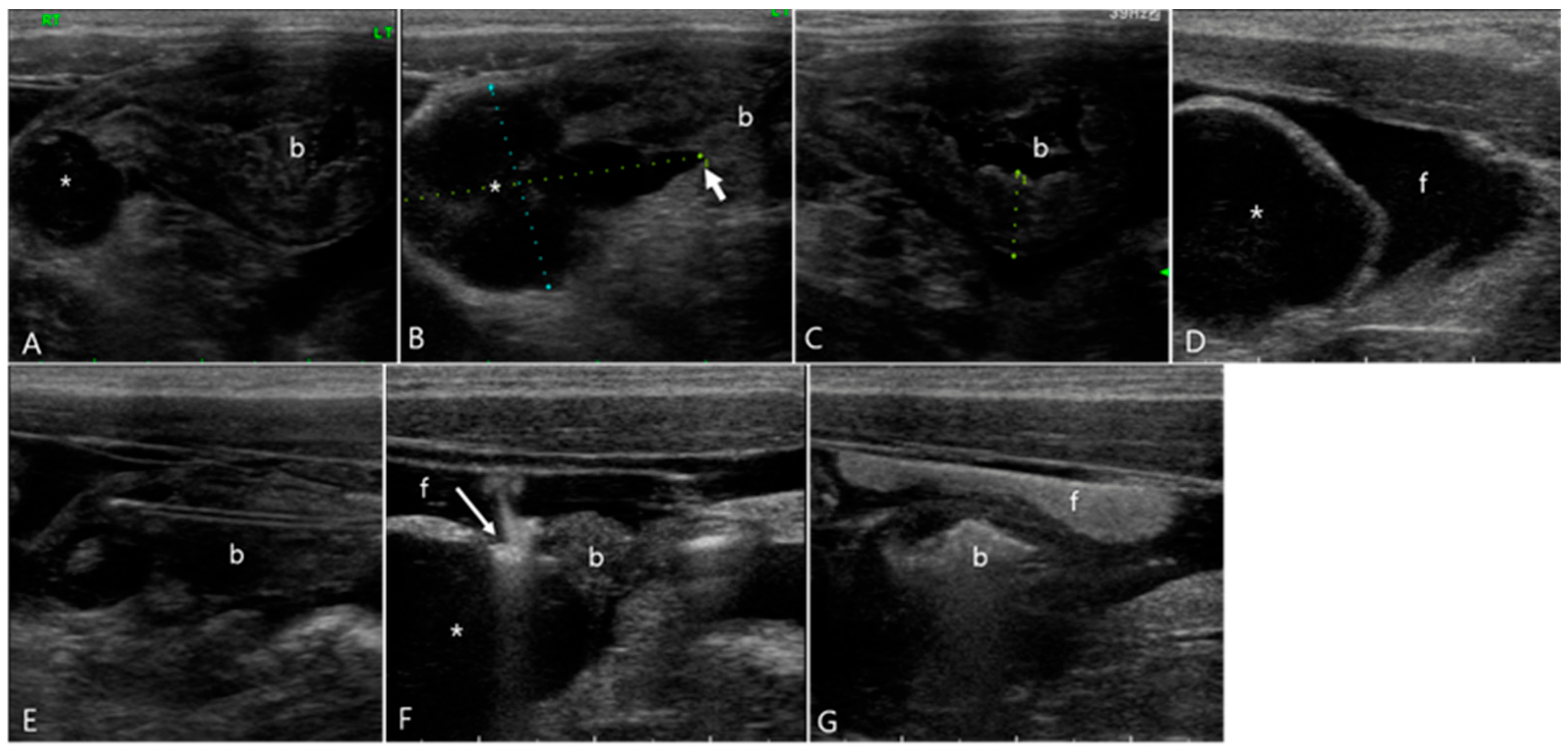 Vetsci 11 00443 g006 Vetsci 11 00443 g006