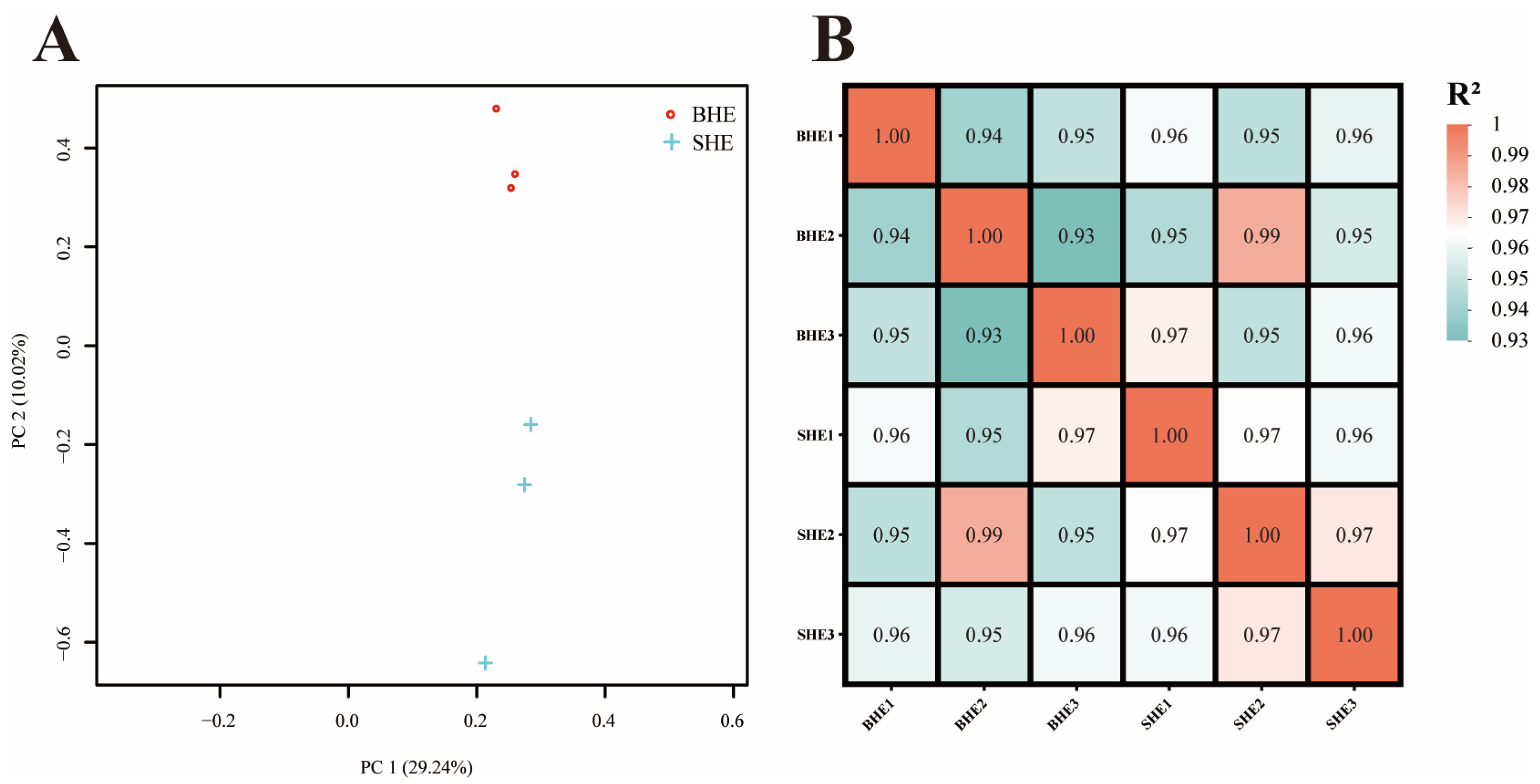 Vetsci 11 00445 g002
