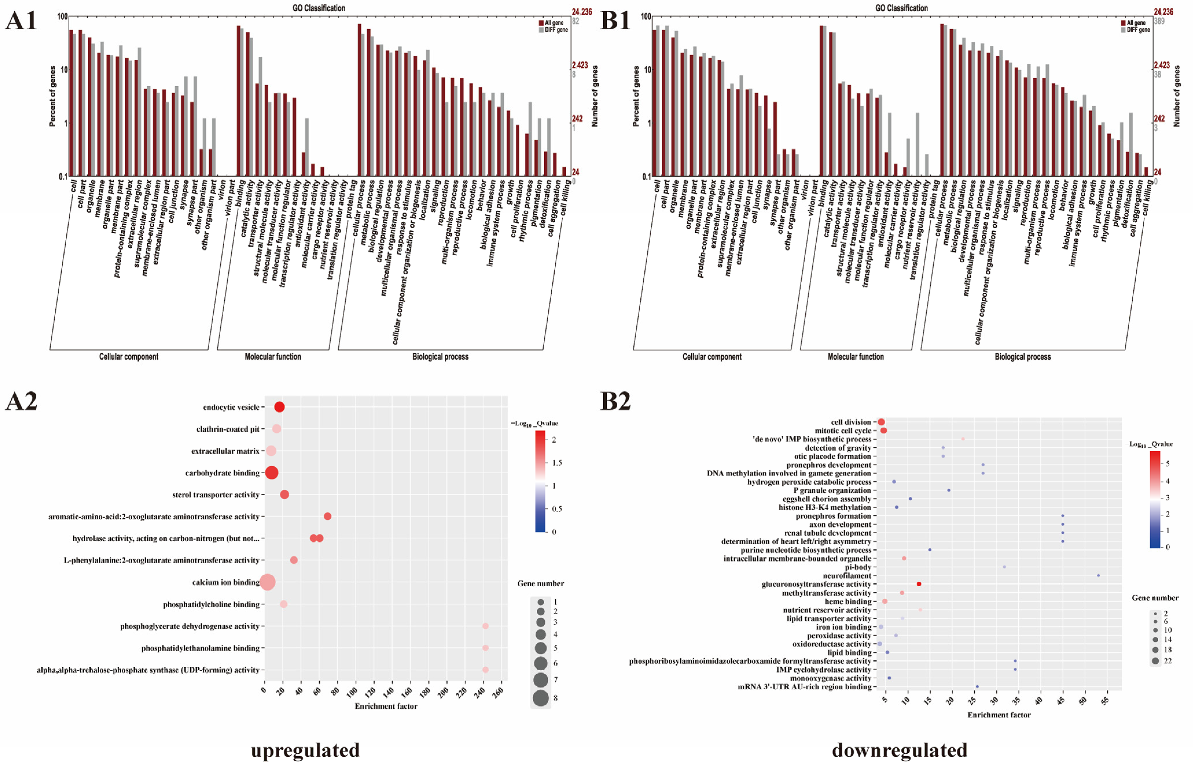 Vetsci 11 00445 g005