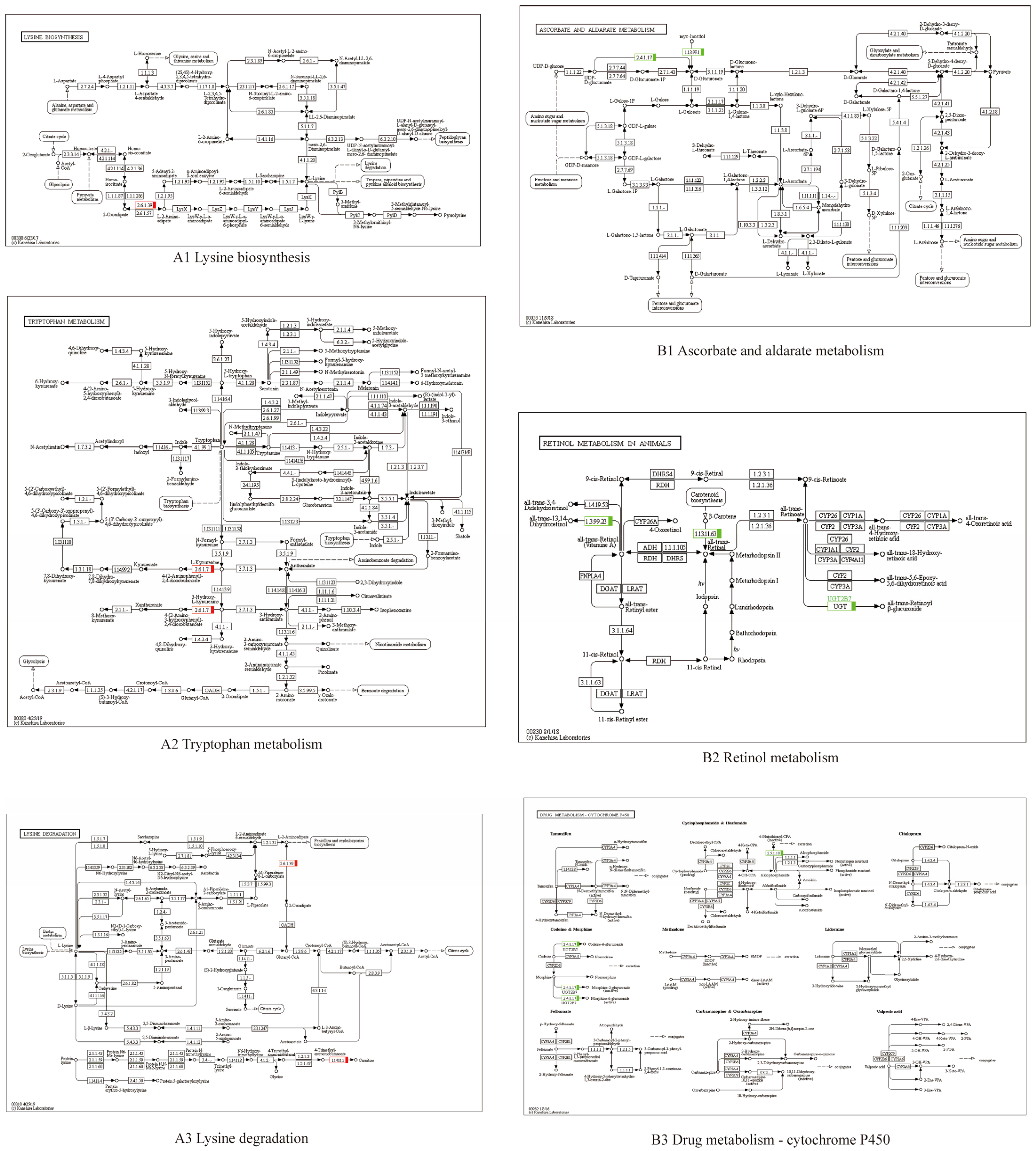 Vetsci 11 00445 g007