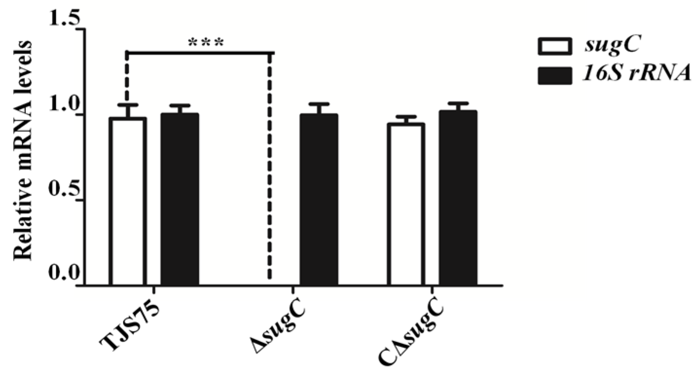 Vetsci 11 00447 g003