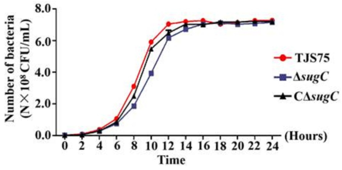 Vetsci 11 00447 g004