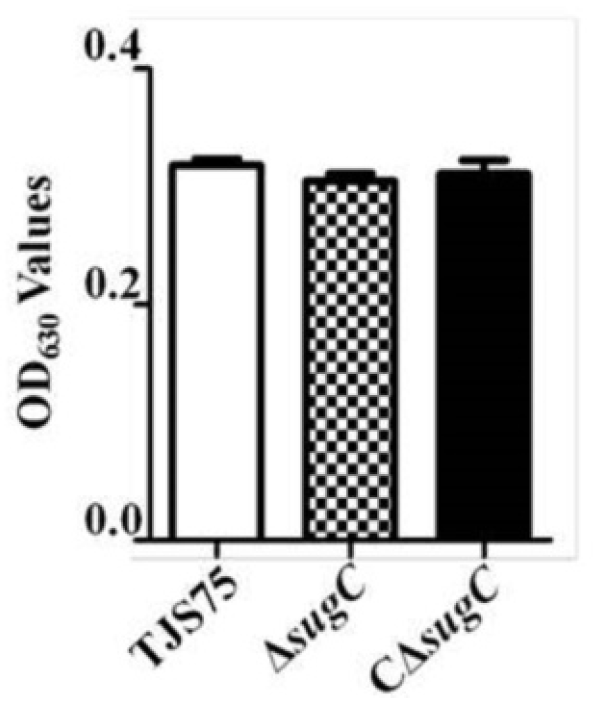Vetsci 11 00447 g005