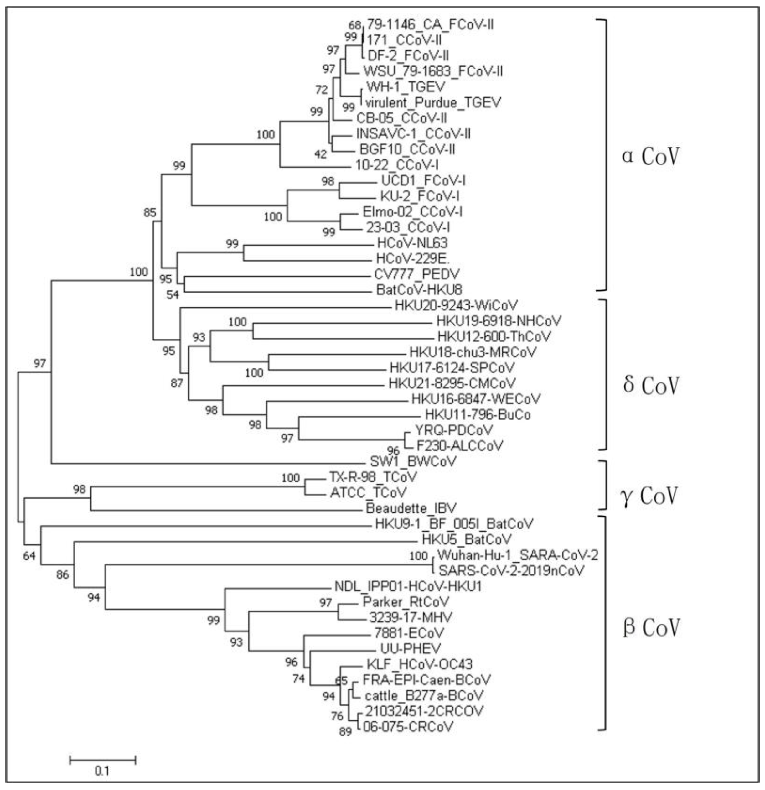 Vetsci 11 00456 g001