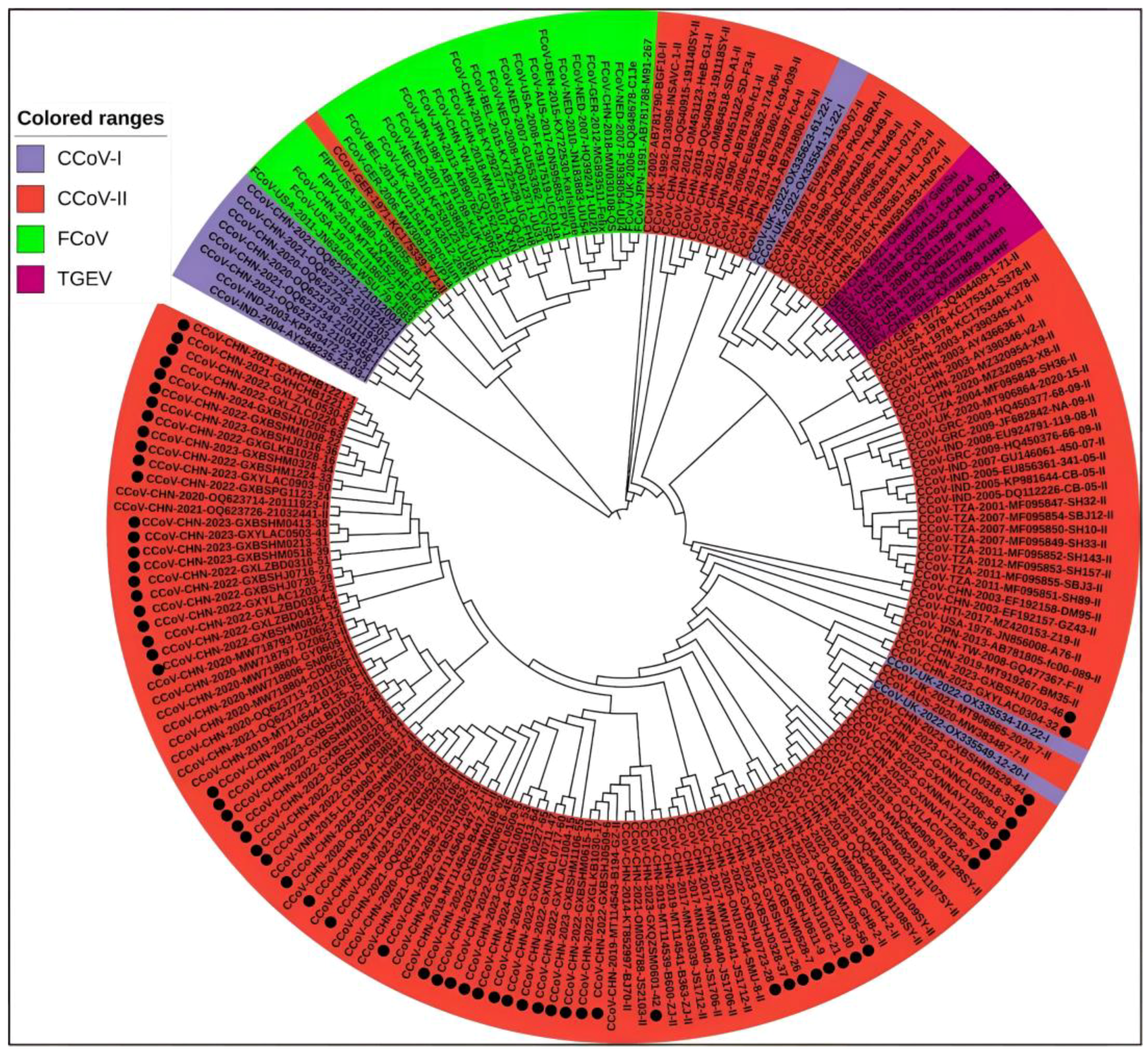 Vetsci 11 00456 g006