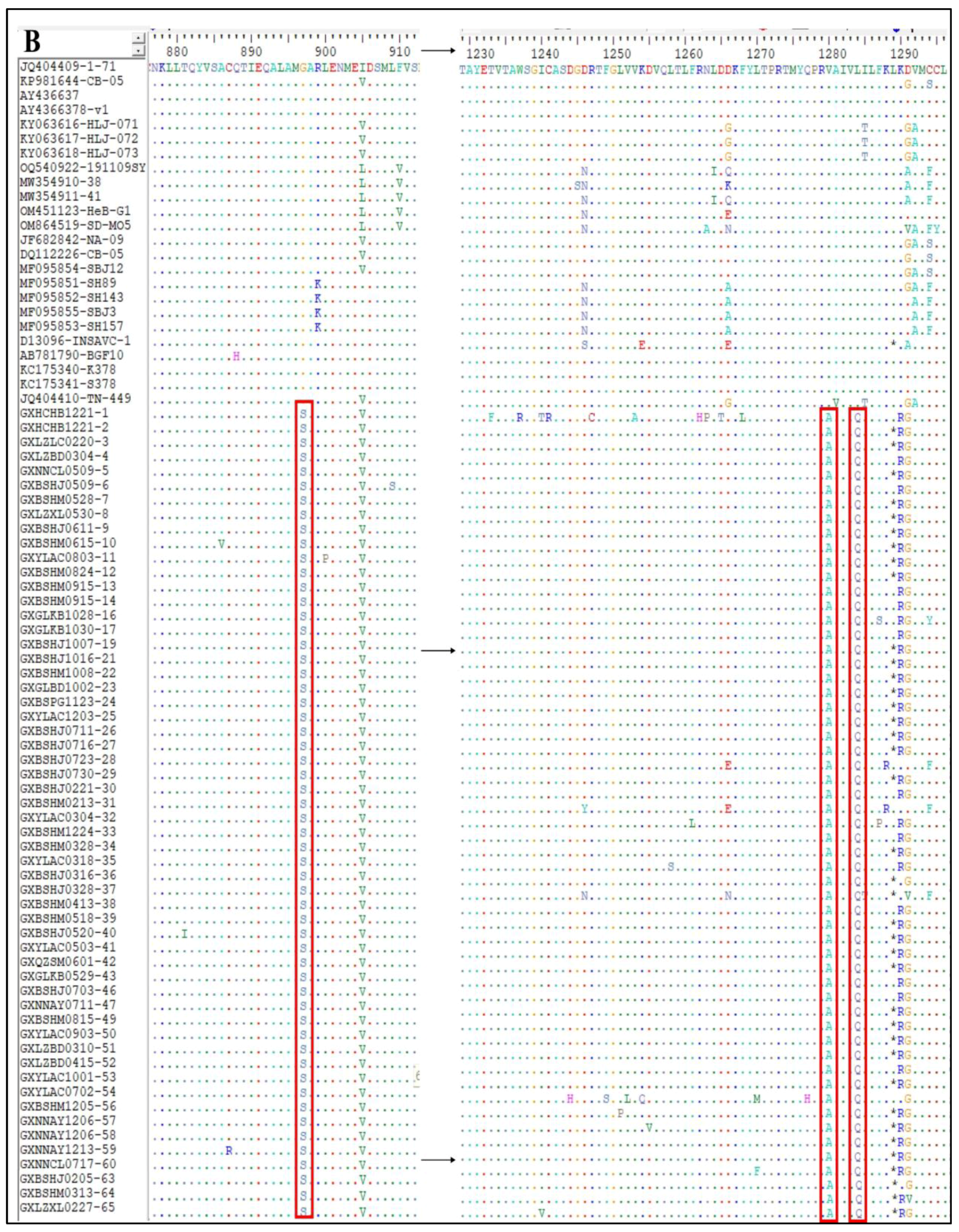 Vetsci 11 00456 g009b