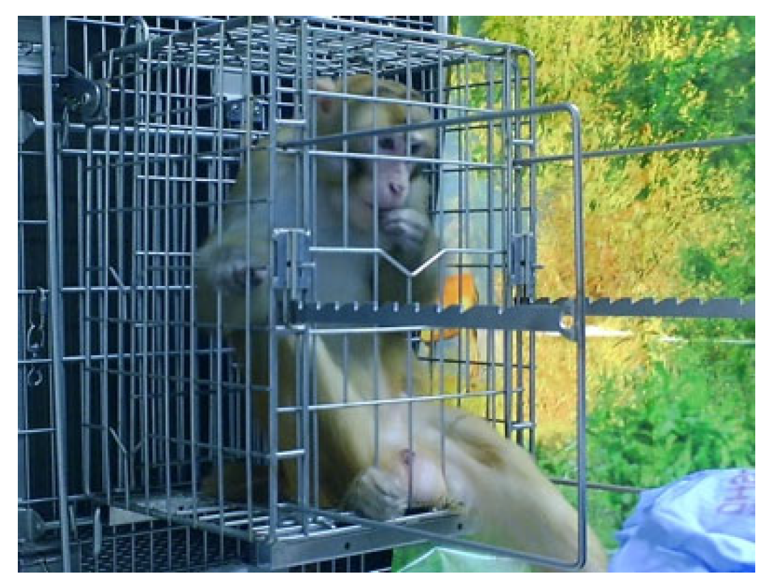 Vetsci 11 00460 g004